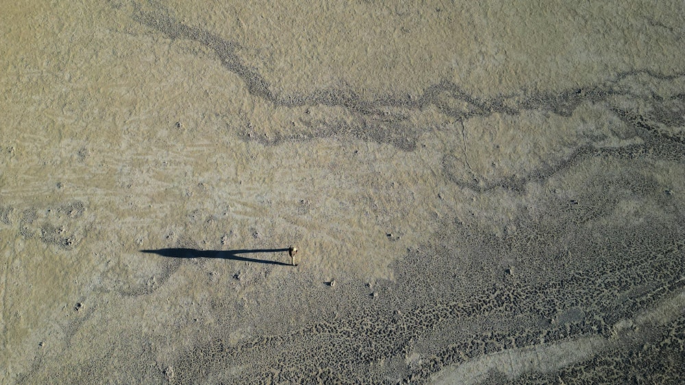 an aerial view of a boat in the water