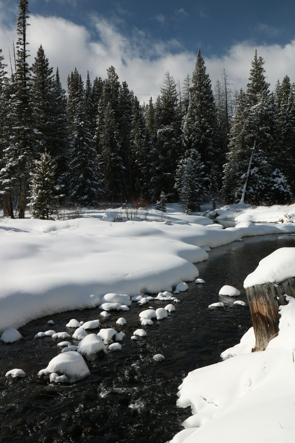 a river running through a snow covered forest