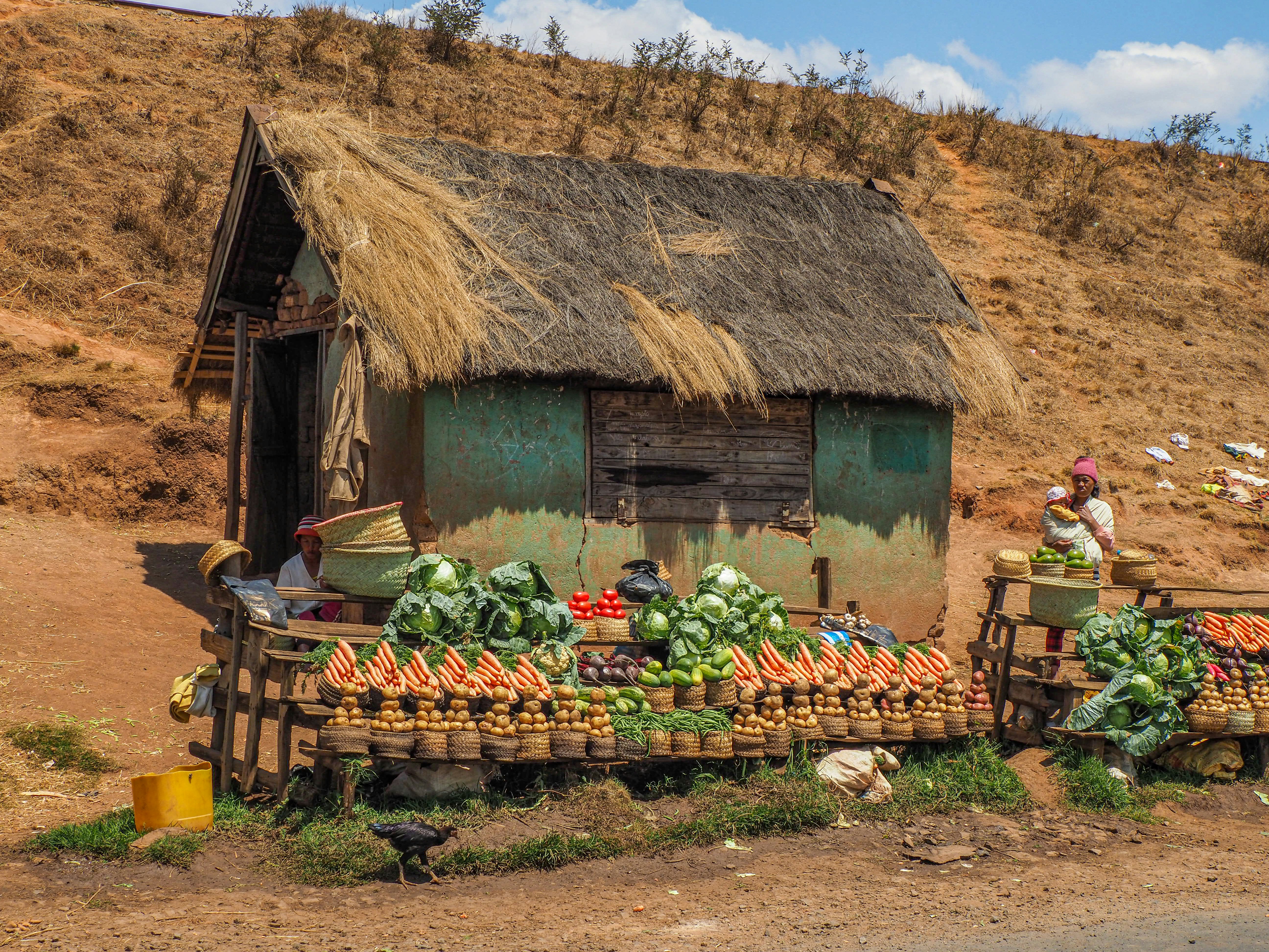 14 Traditional Farms to Visit on Ethiopia Culture Travel Routes