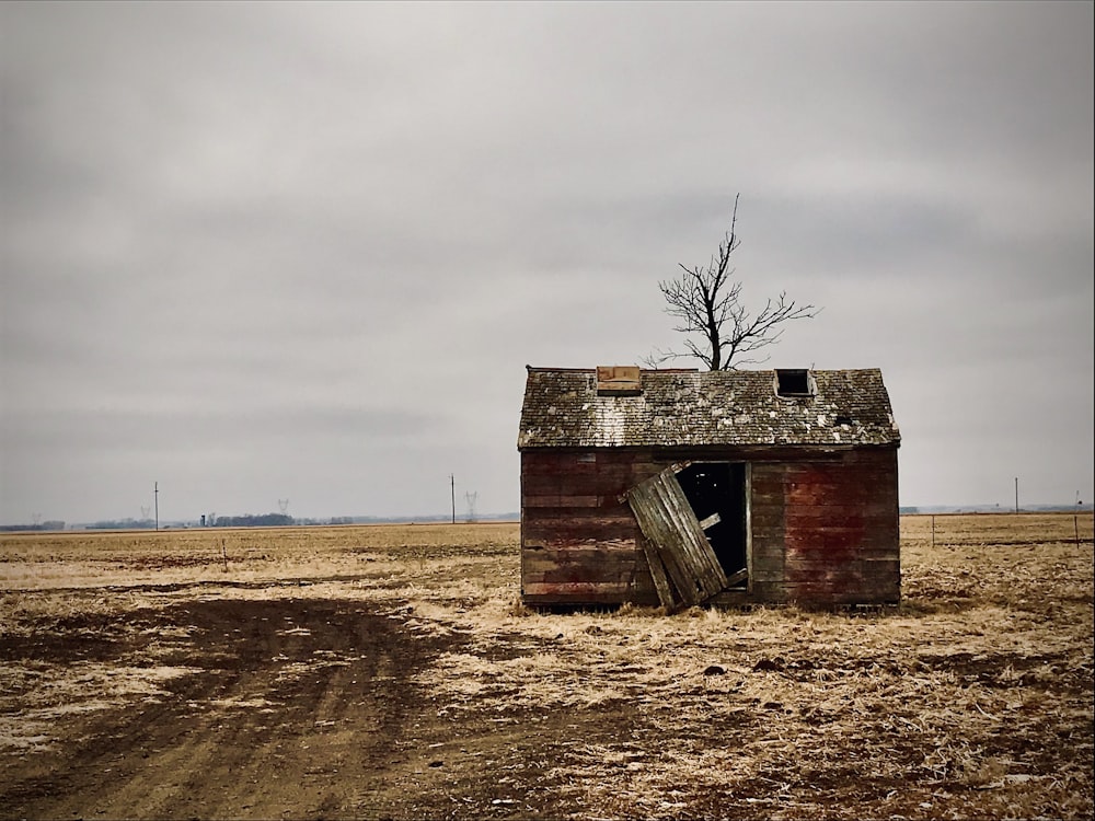 an old barn with a tree growing out of it