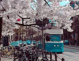 a blue and white bus driving down a street