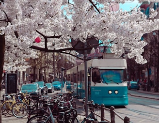 first-visit-gothenburg-guide-city-coast