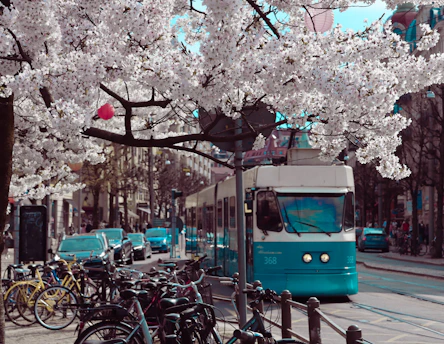 a blue and white bus driving down a street