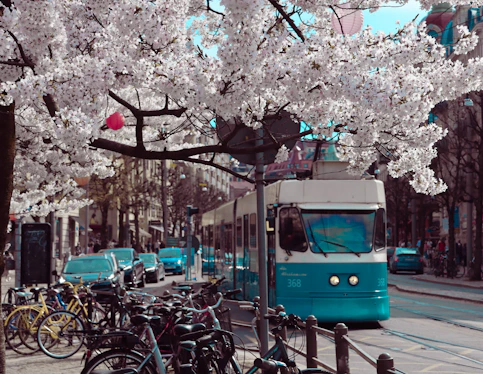 a blue and white bus driving down a street