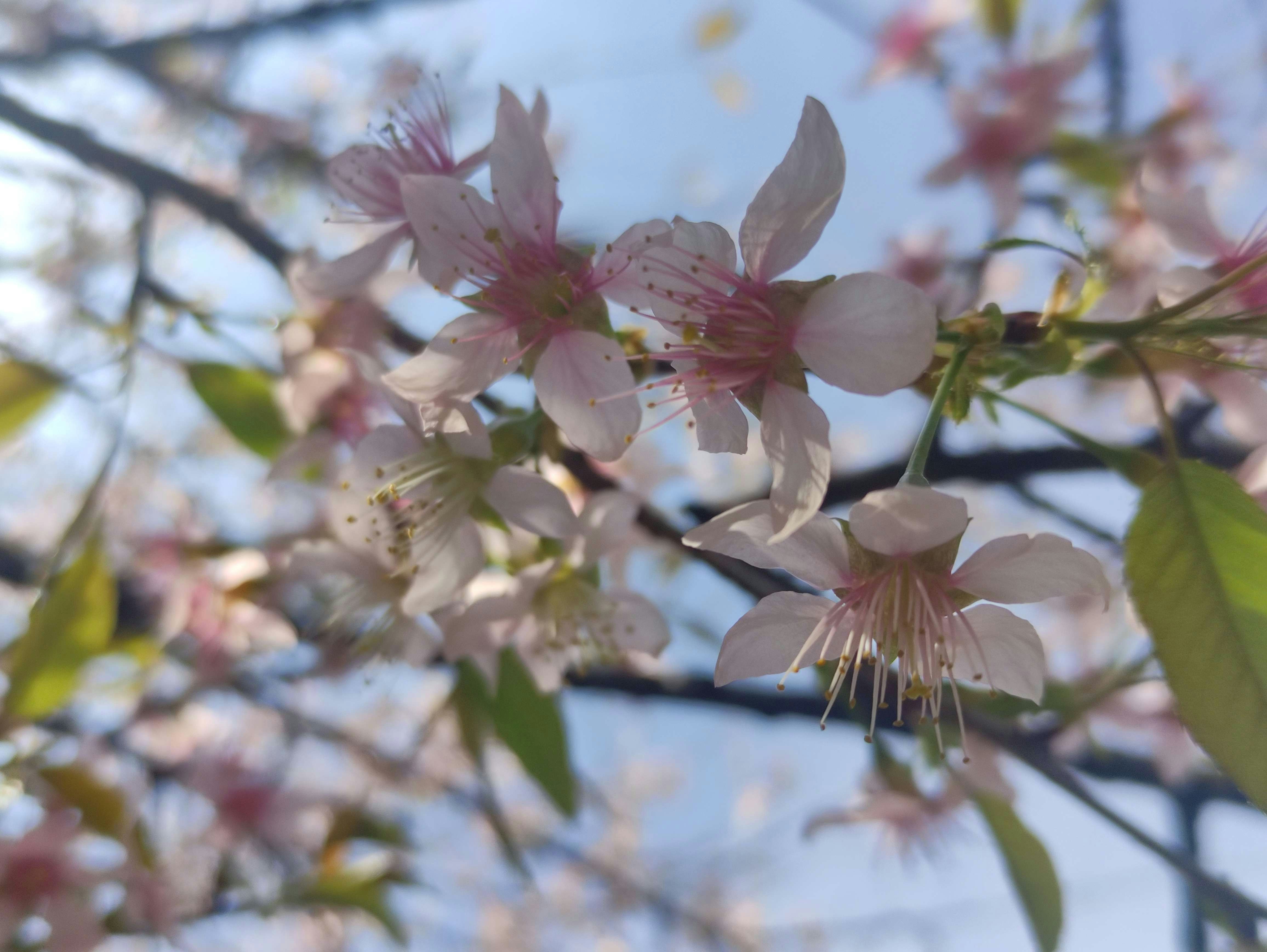 Photo by aastikmaurya