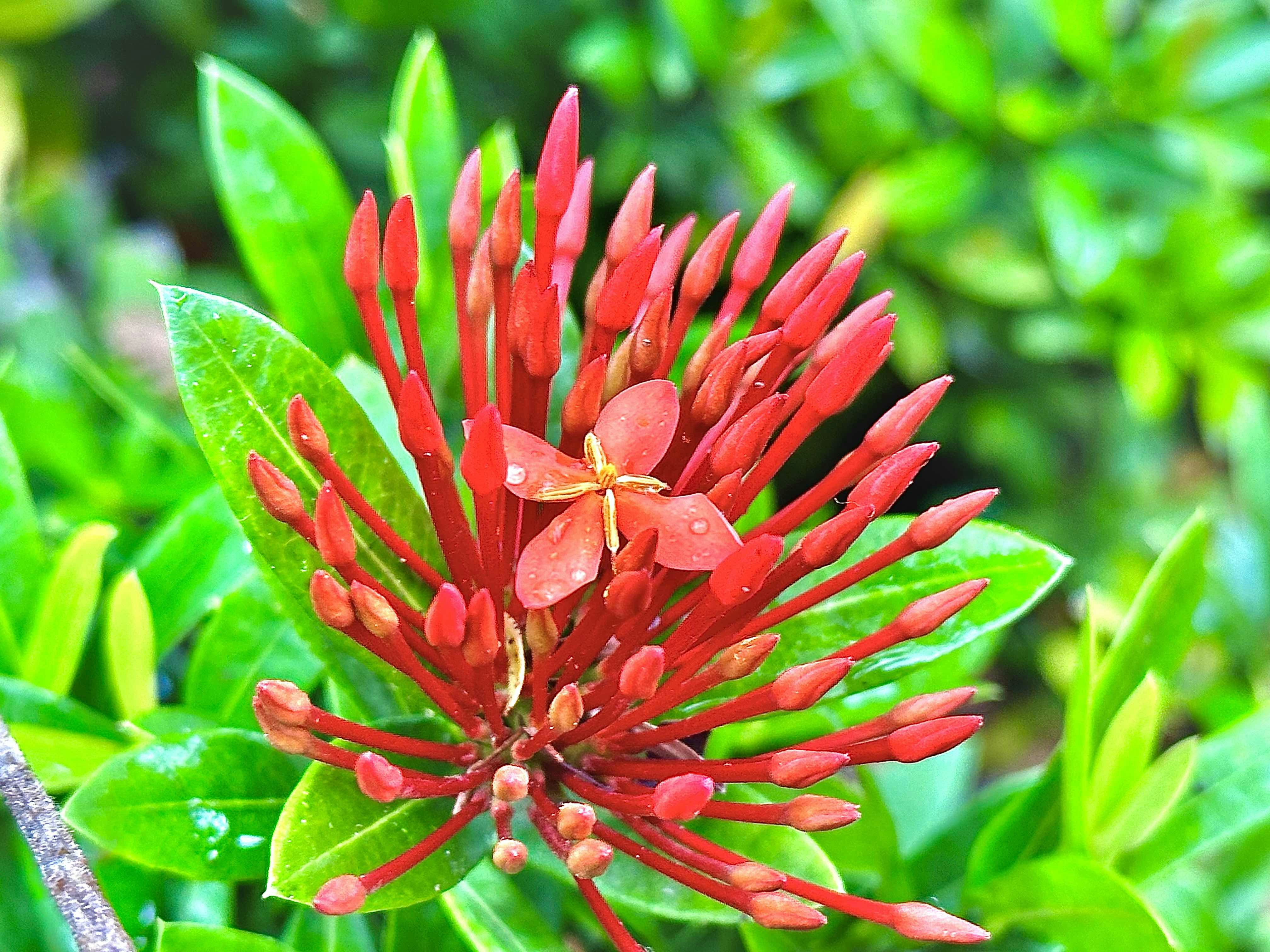 Photo by aastikmaurya