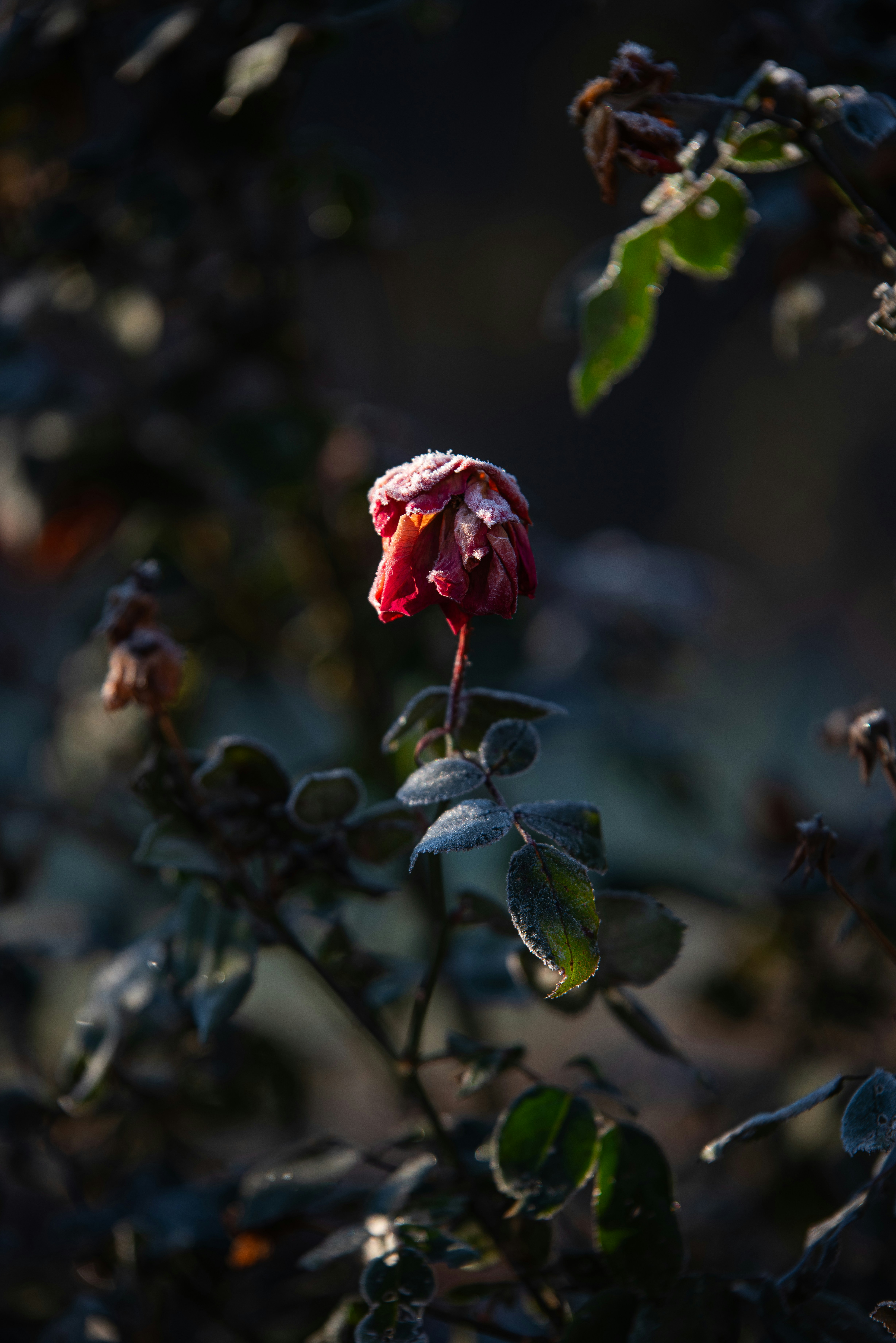 Photo by aastikmaurya