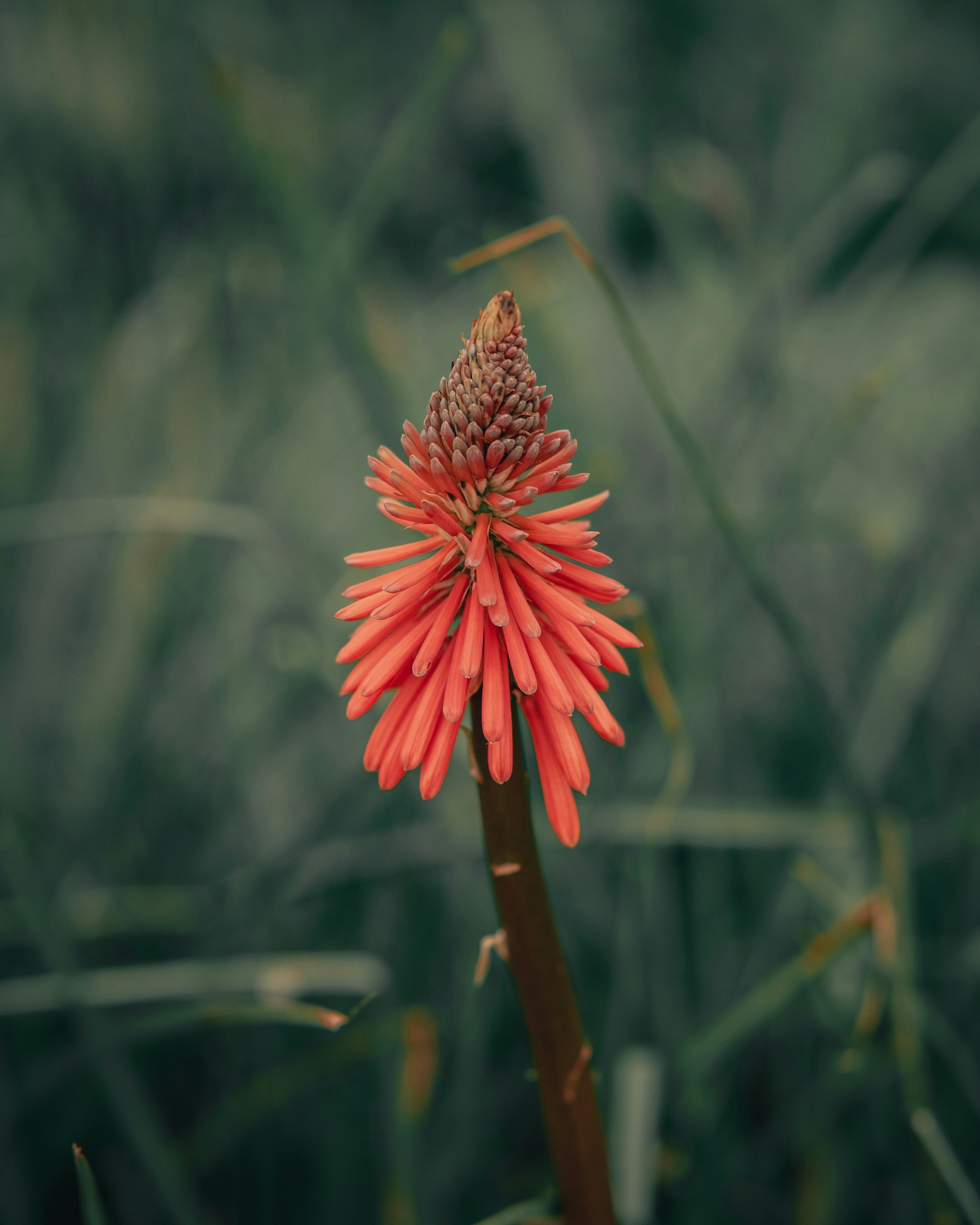 Photo by aastikmaurya