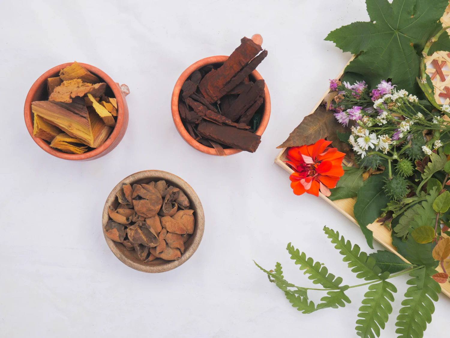 Clay bowls of dried bark, root and petals beside fern and nasturtium flowers on a white table