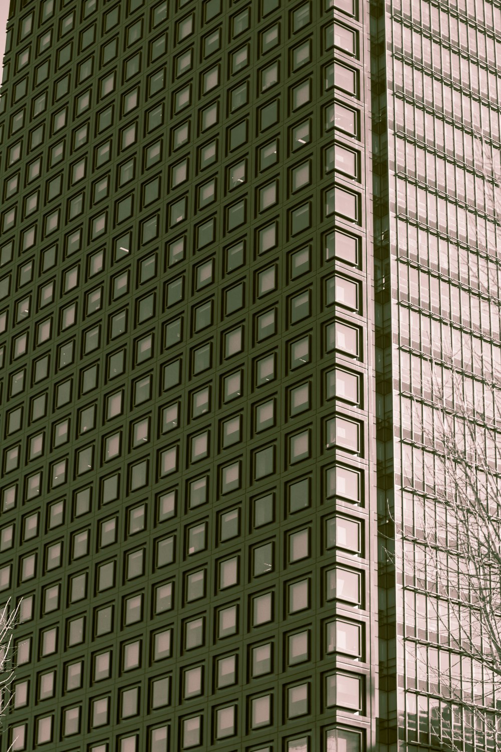 a tall building with a tree in front of it