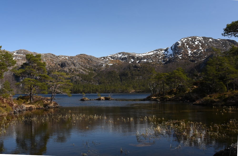 a lake surrounded by mountains and trees