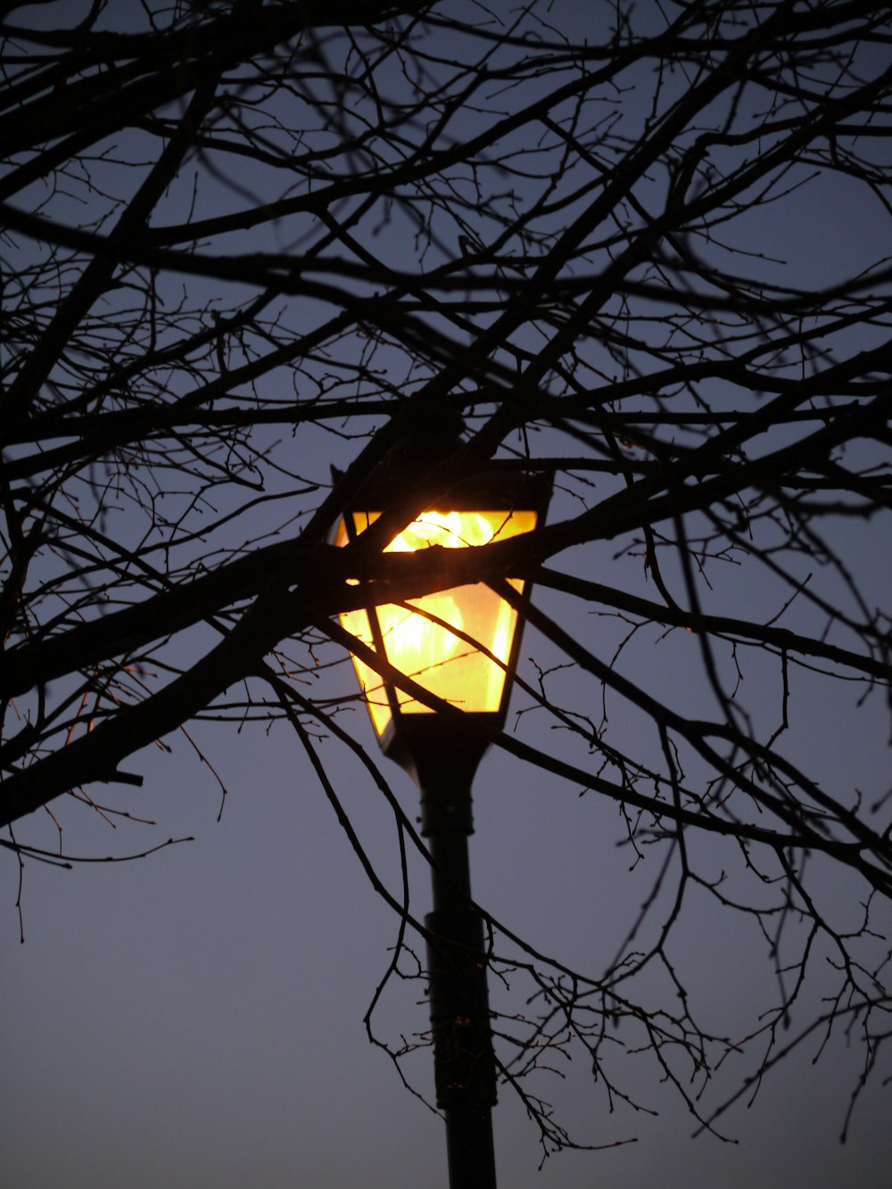 a street light with a tree in the background