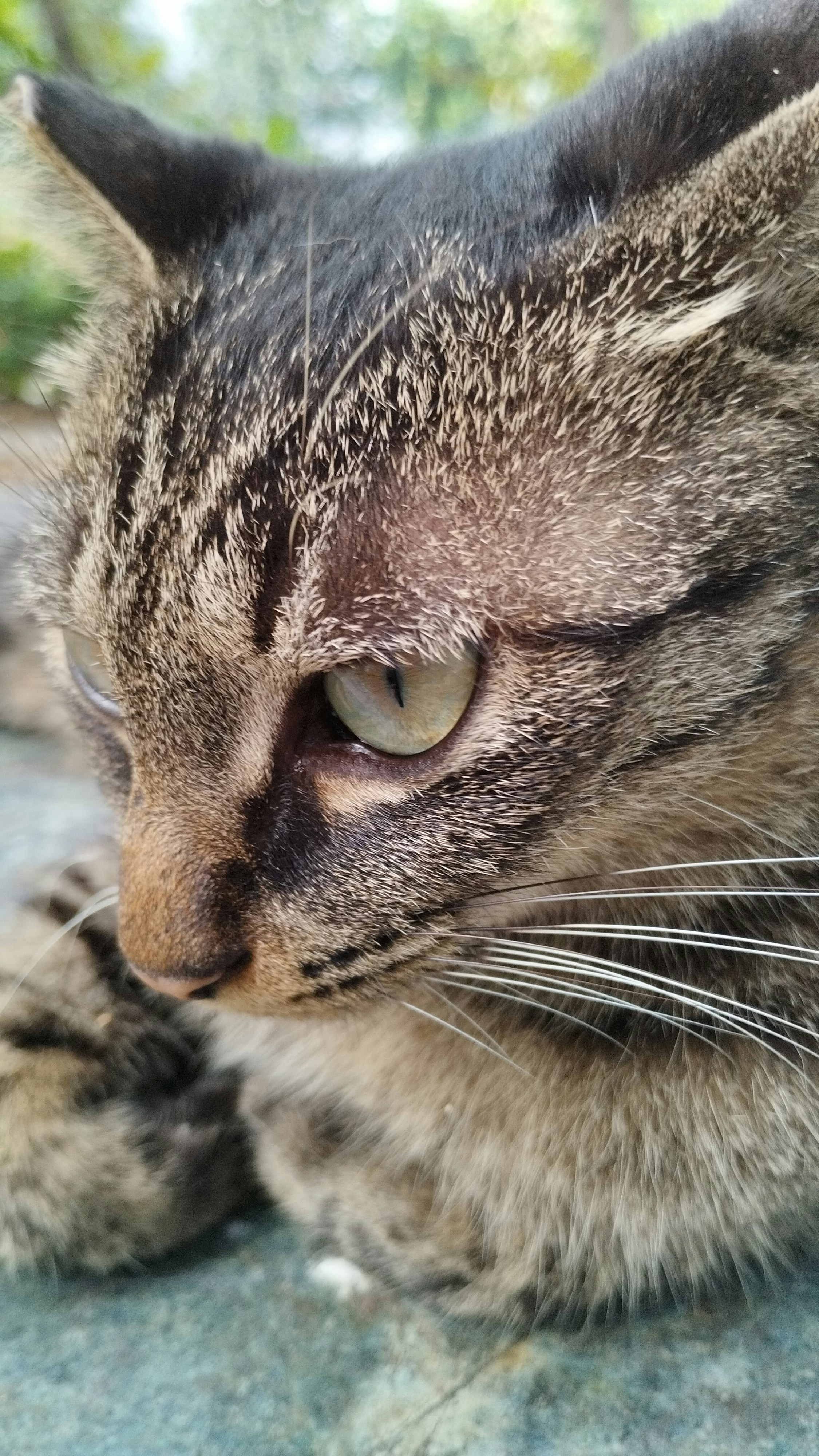 Photo by doghouse888