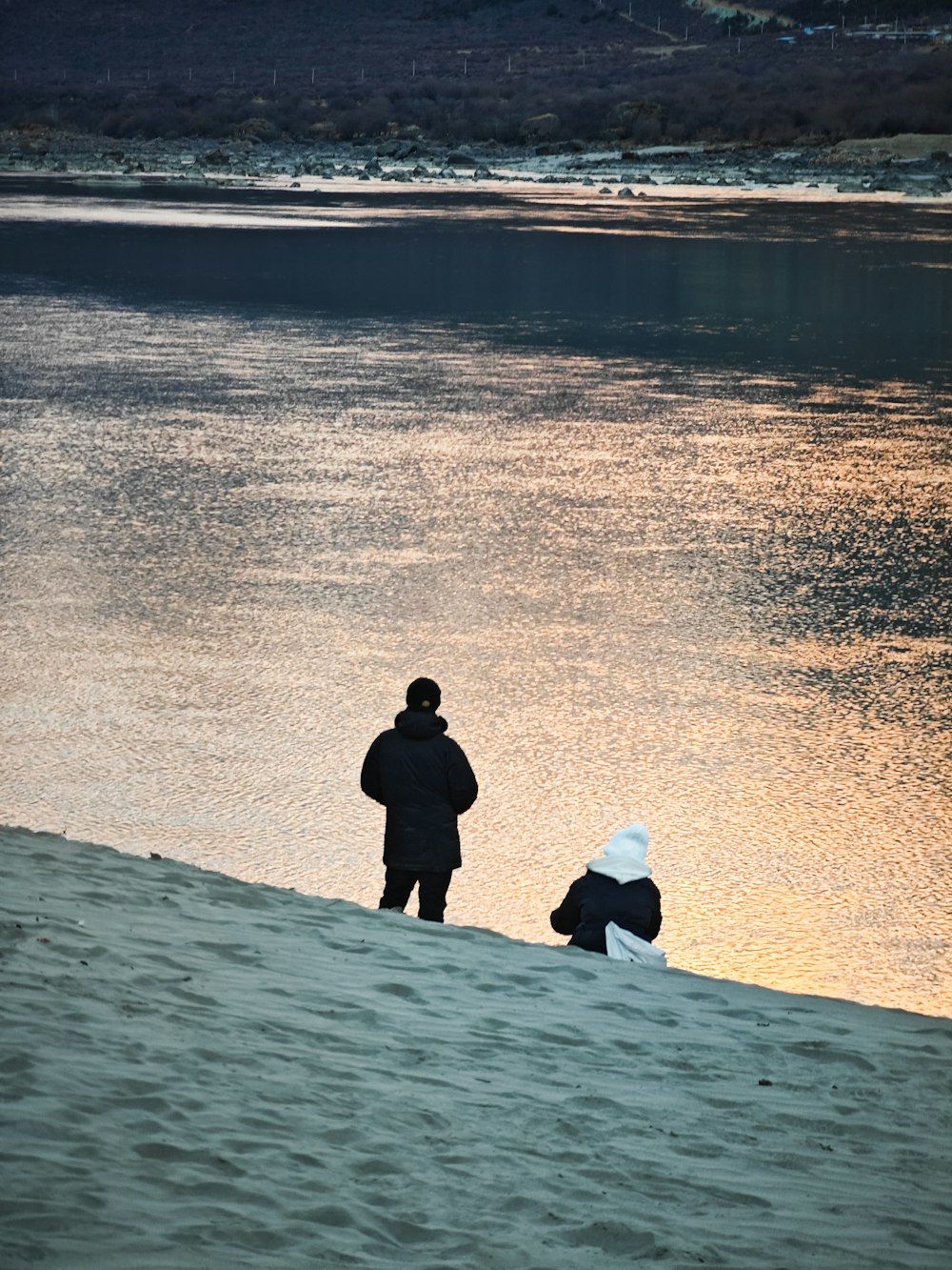 a man and a dog standing on a beach at sunset