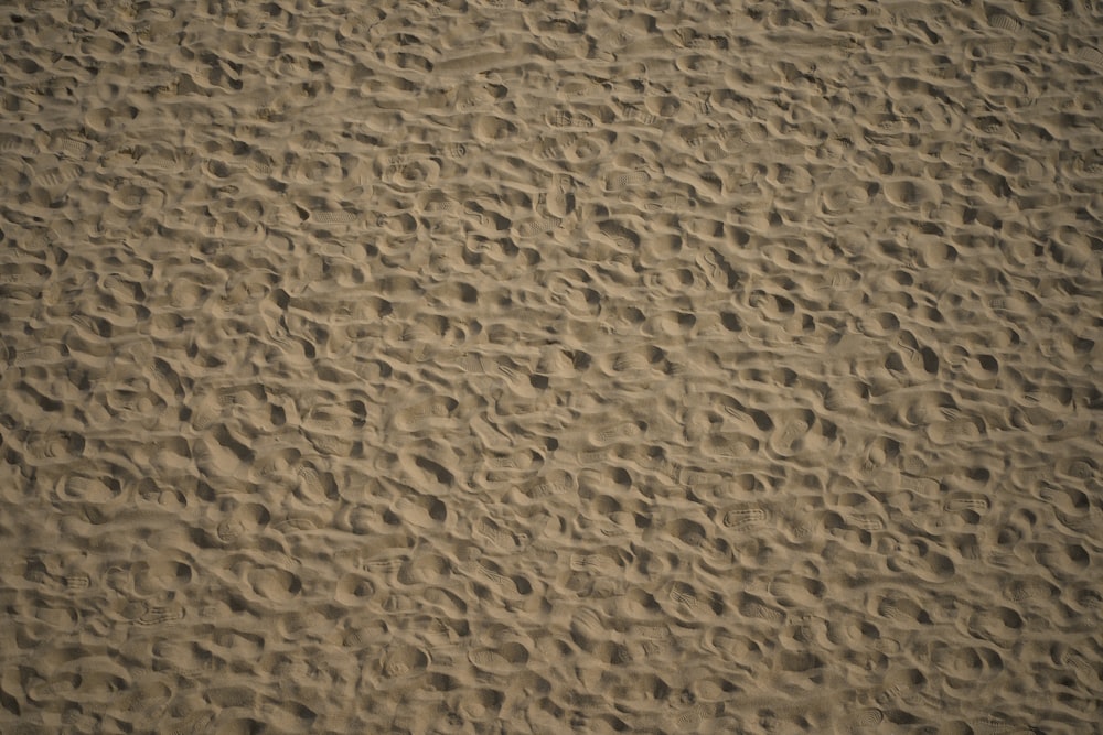 a close up of a sandy beach with footprints in the sand