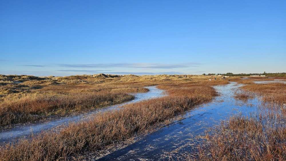 a river running through a dry grass covered field