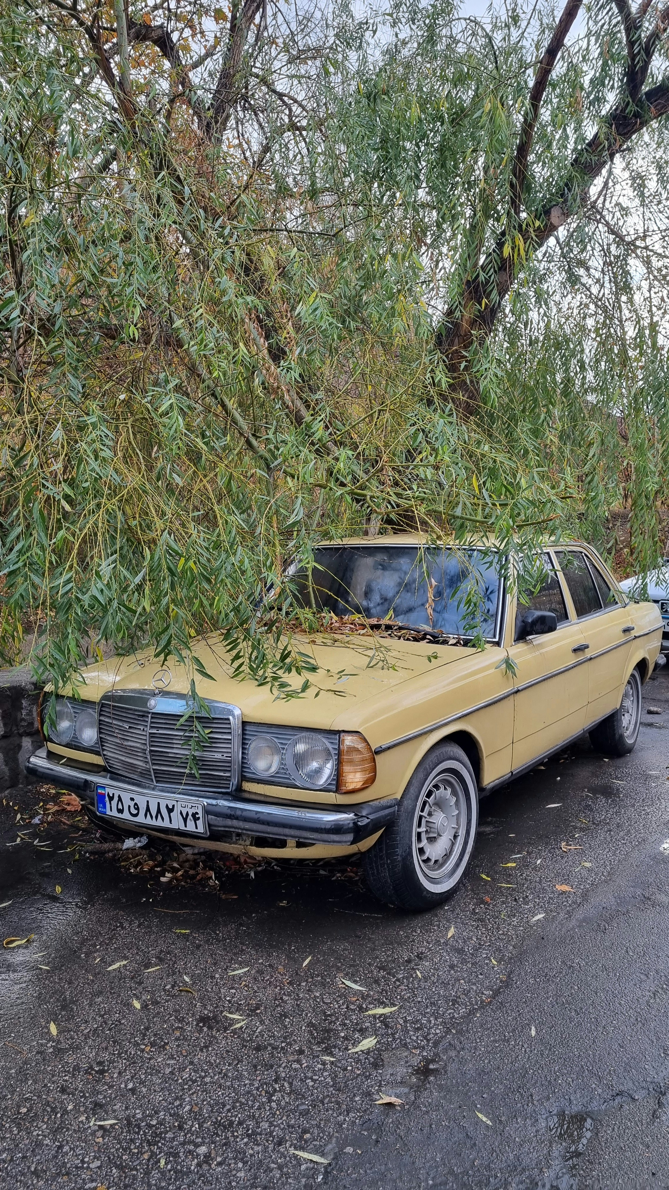 Photo by fatemeh_photographer