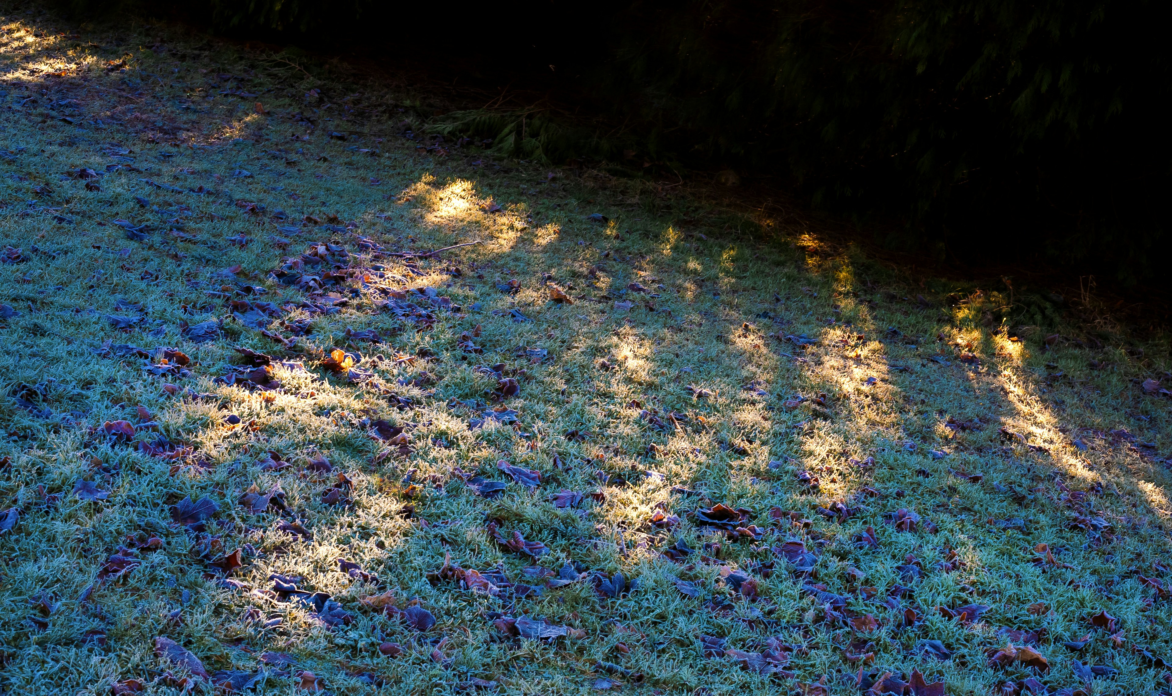 애교살 글리터 섀도우 이미지2