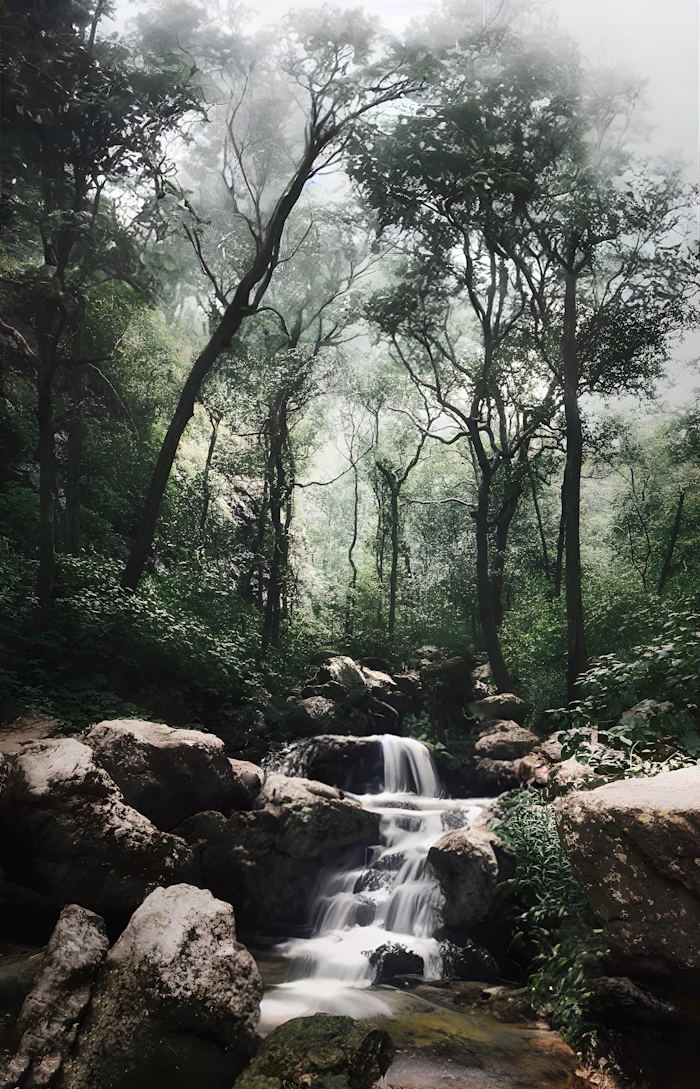 A waterfall flowing through Pachmarhi's forest