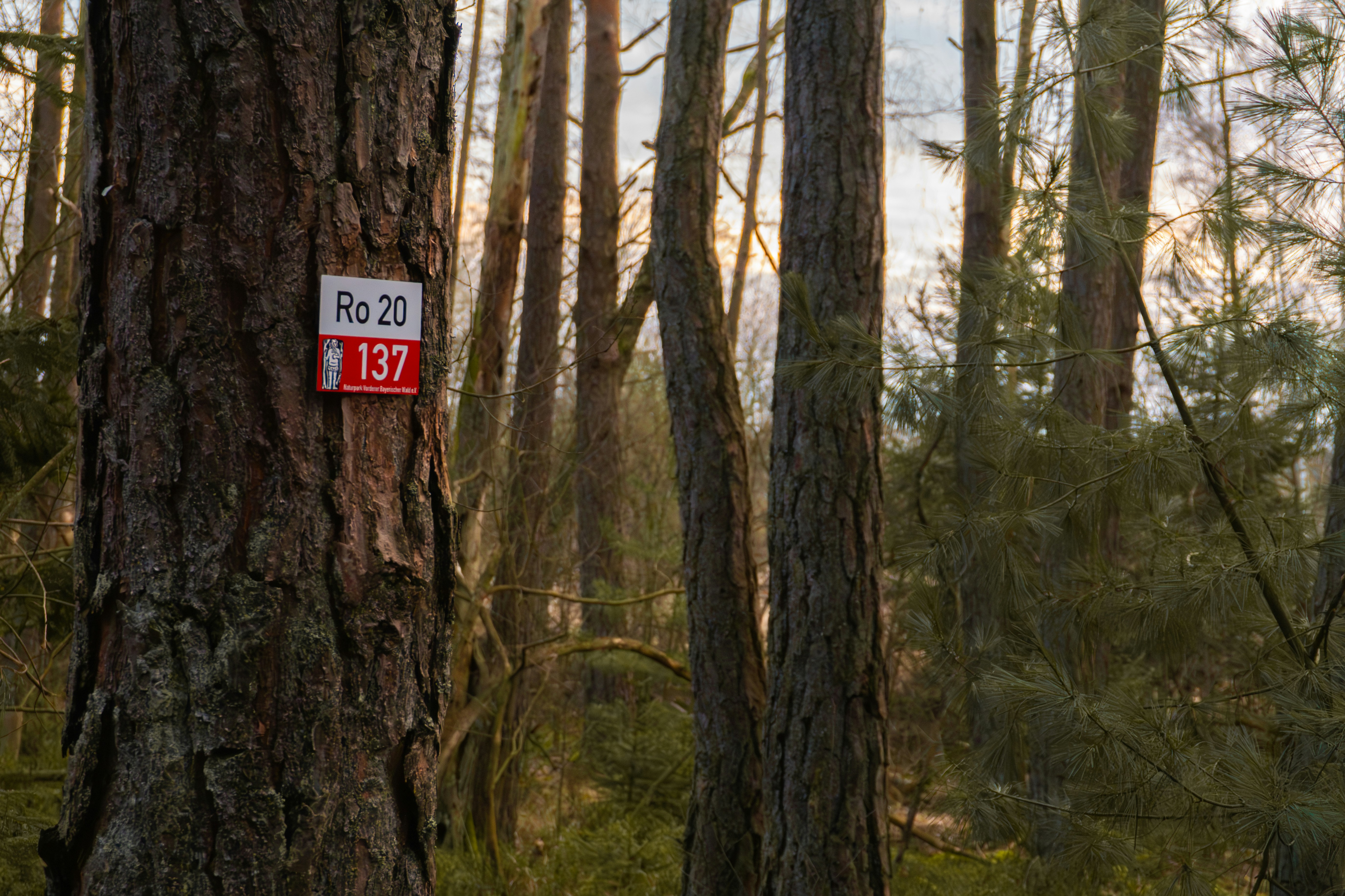 등기부등본에서 꼭 확인해야 할 위험 신호 4가지