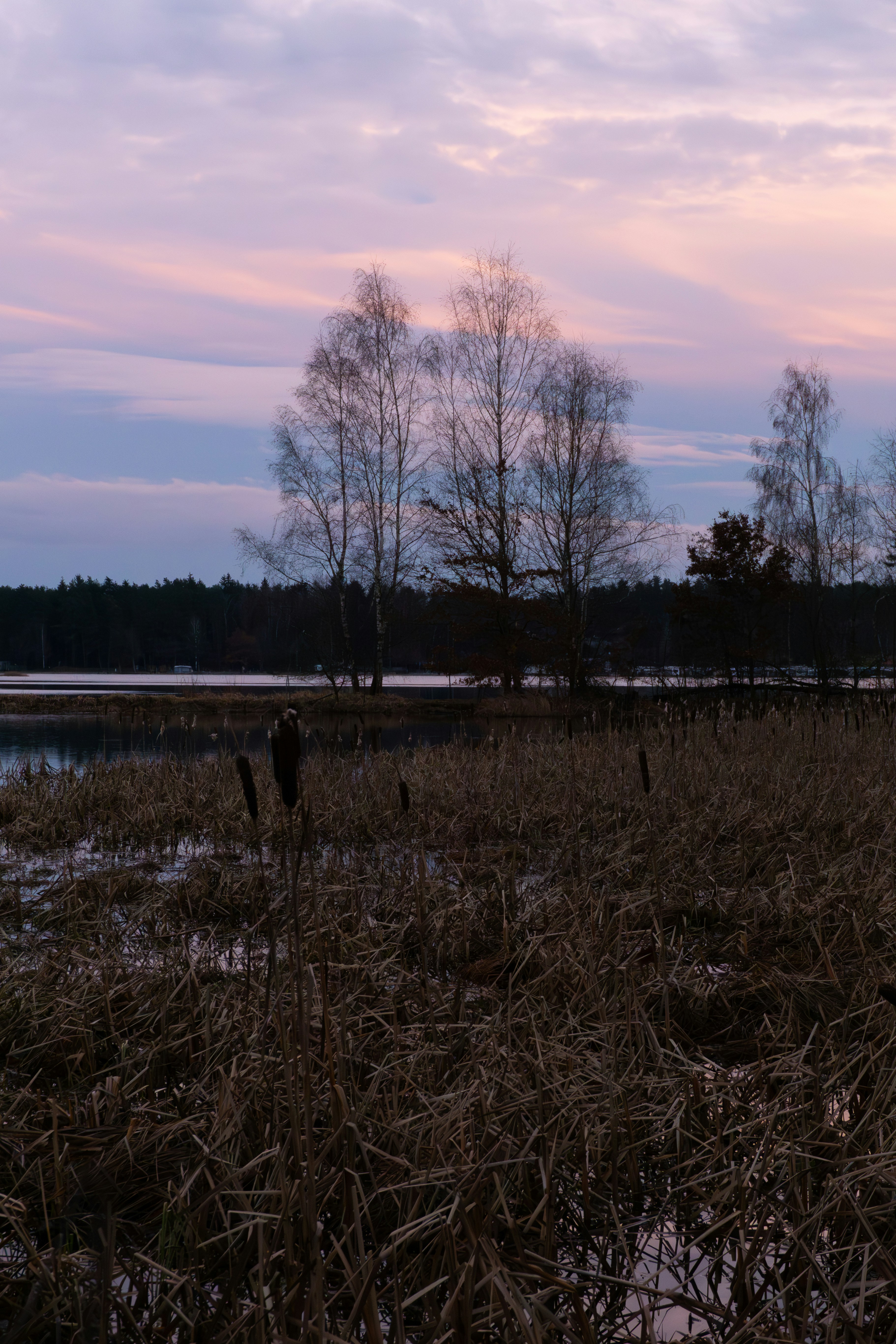 Photo by marie_hastreiter