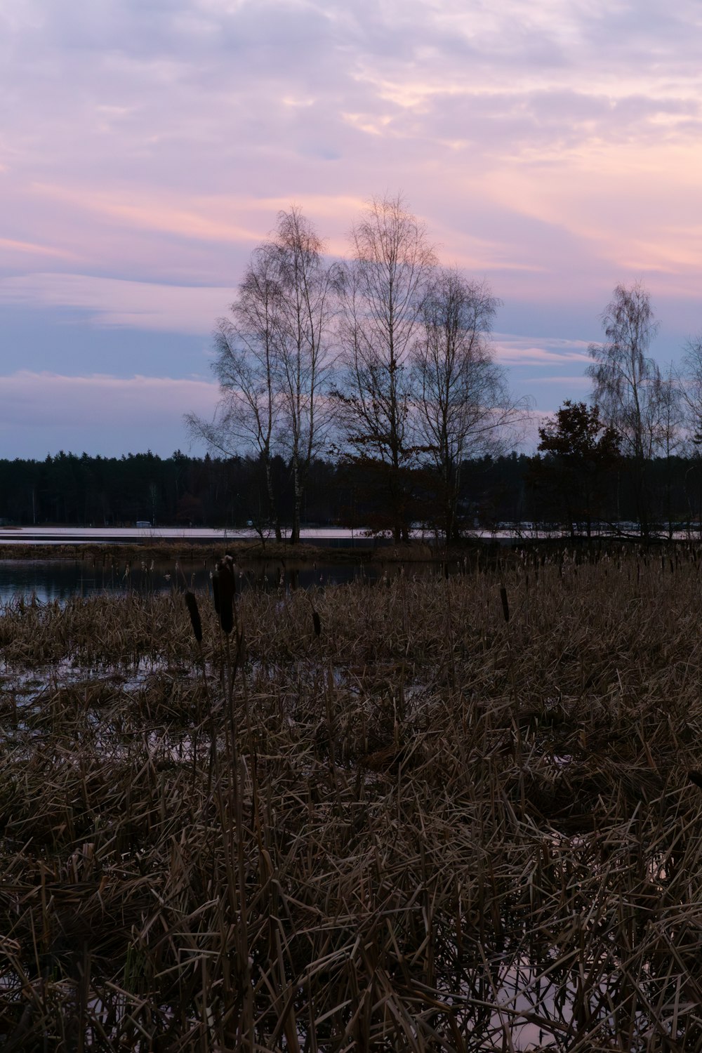 a grassy field with trees and a body of water in the background