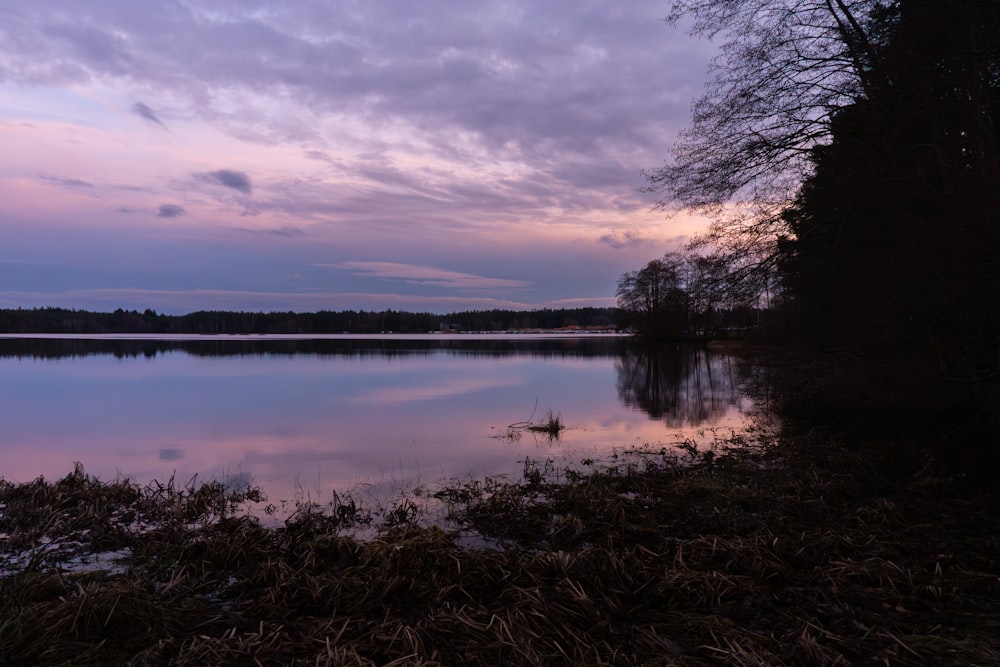 a body of water surrounded by trees and grass