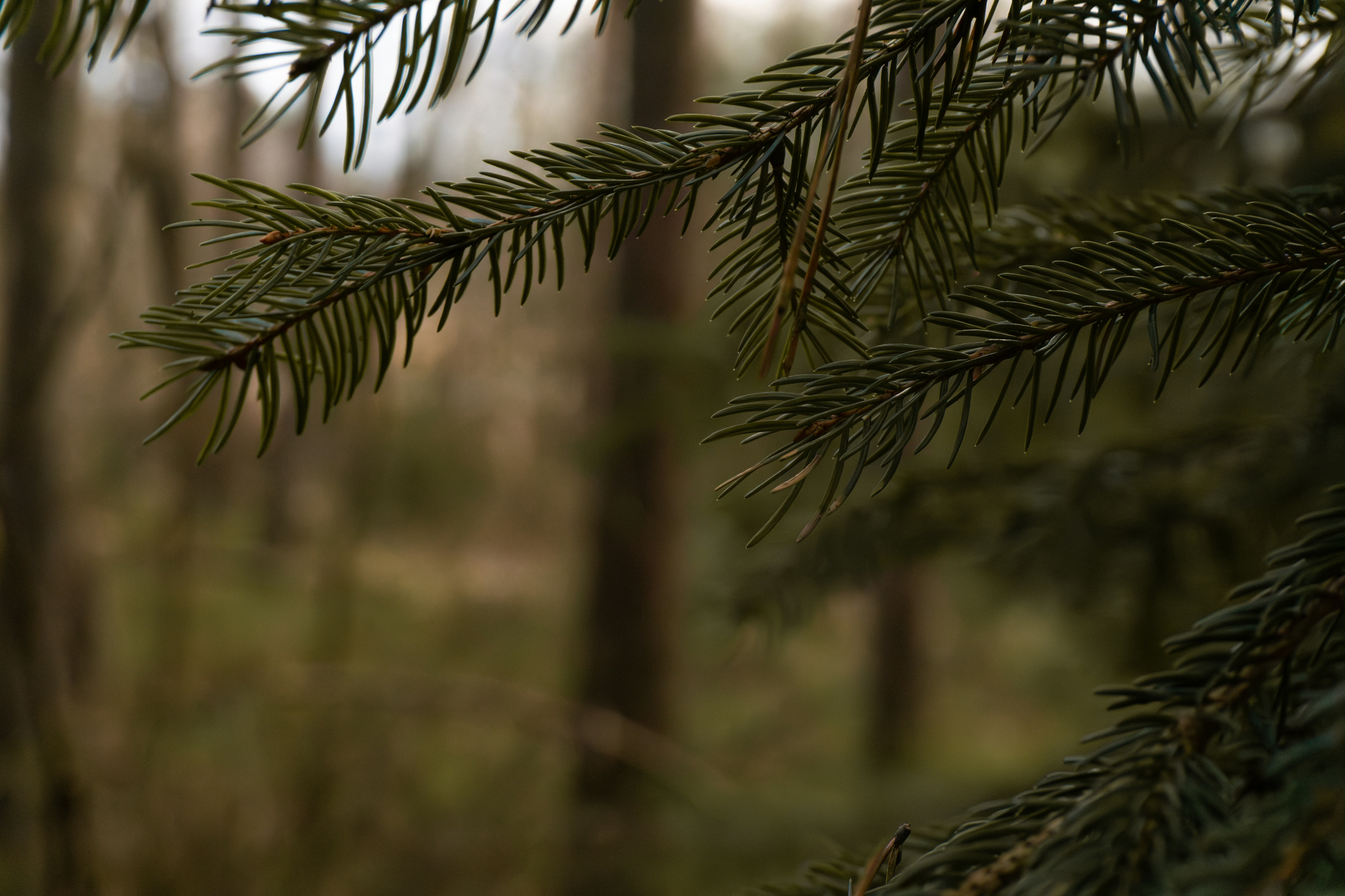 Photo by marie_hastreiter