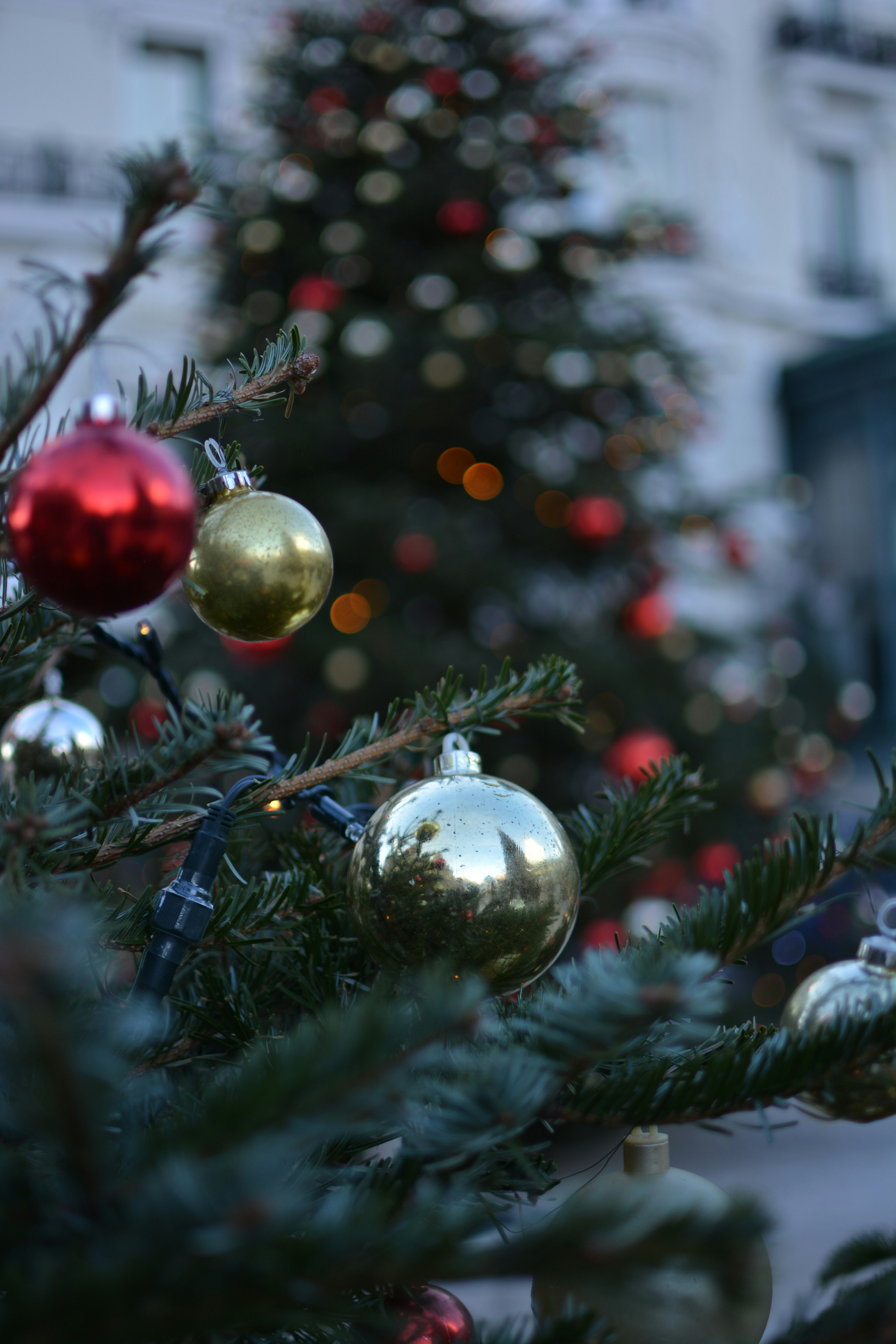 Photo by melancholy_october