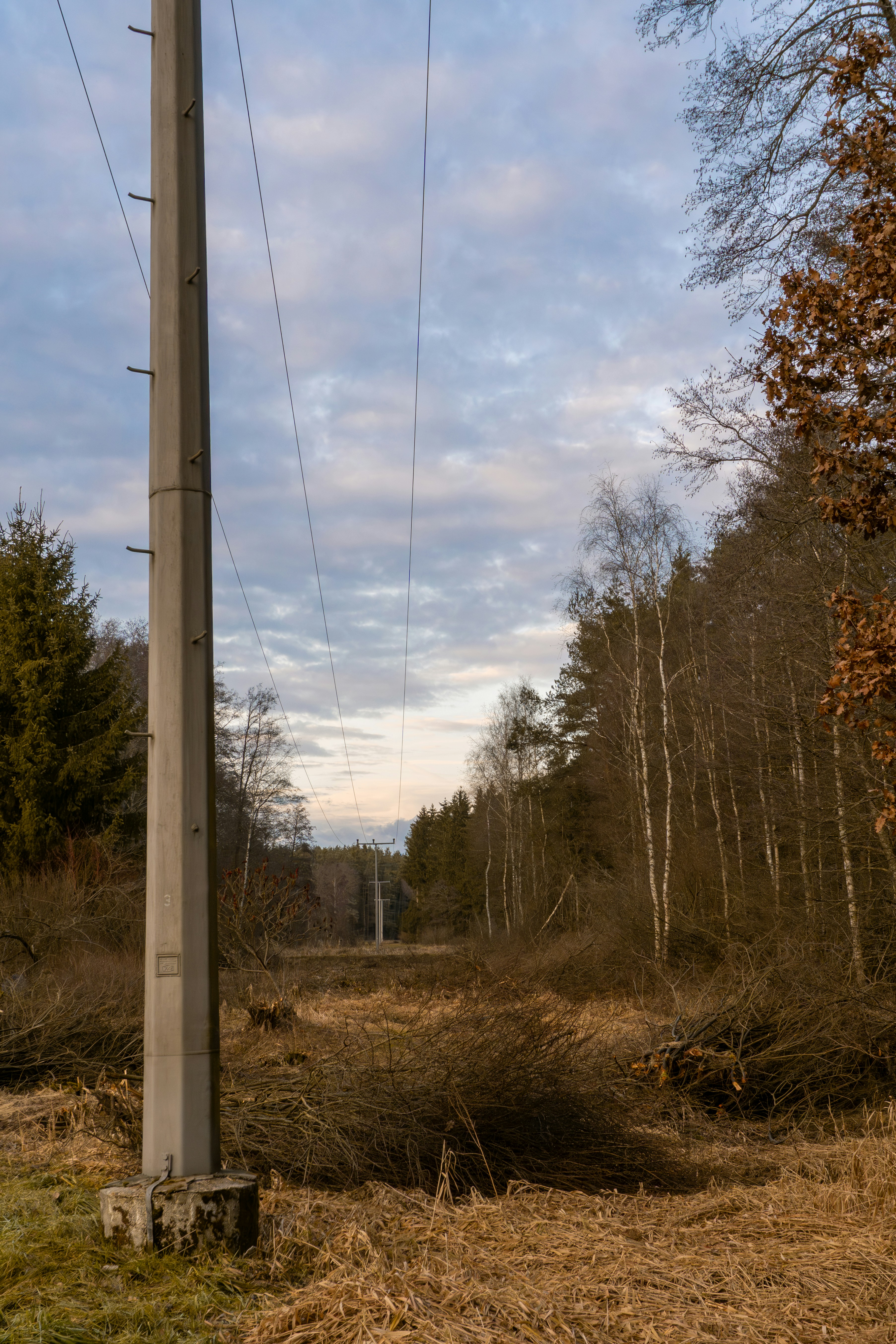 a telephone pole in the middle of a field