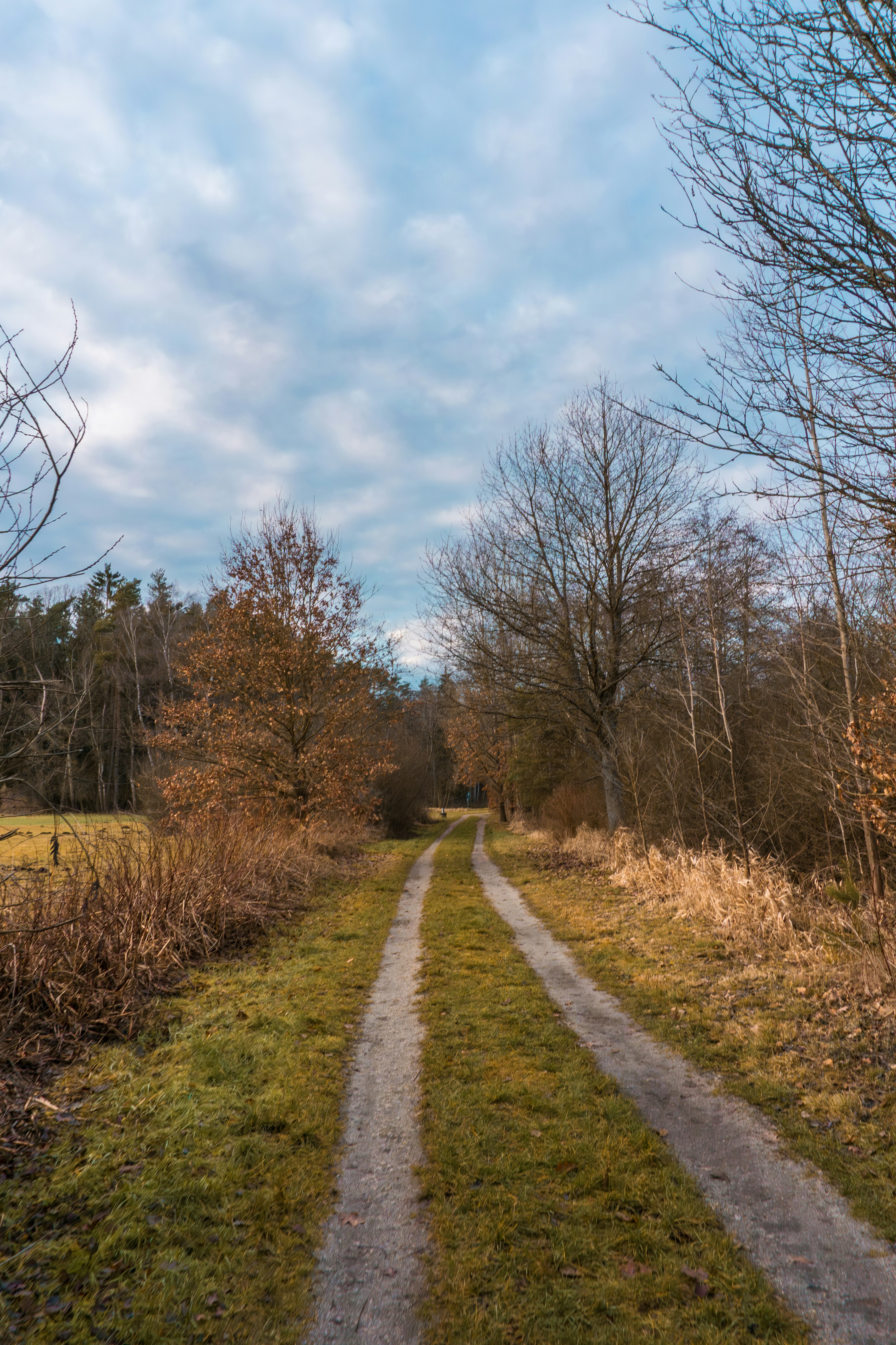 Photo by marie_hastreiter