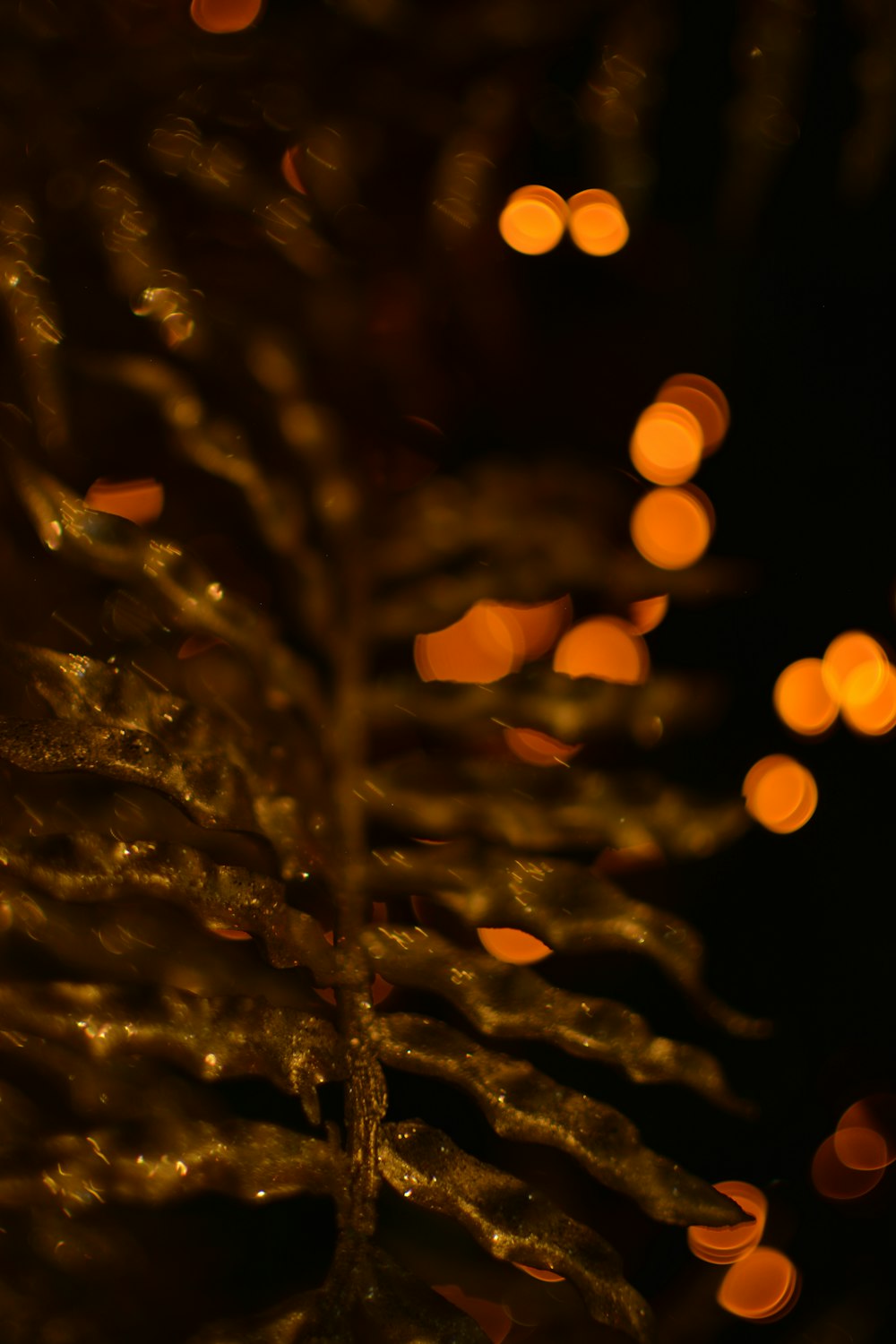 a close up of a tree with lights in the background