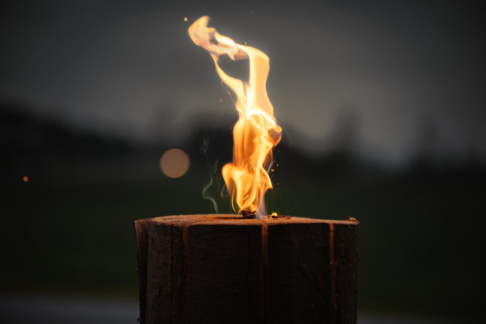 a close up of a piece of wood with a fire