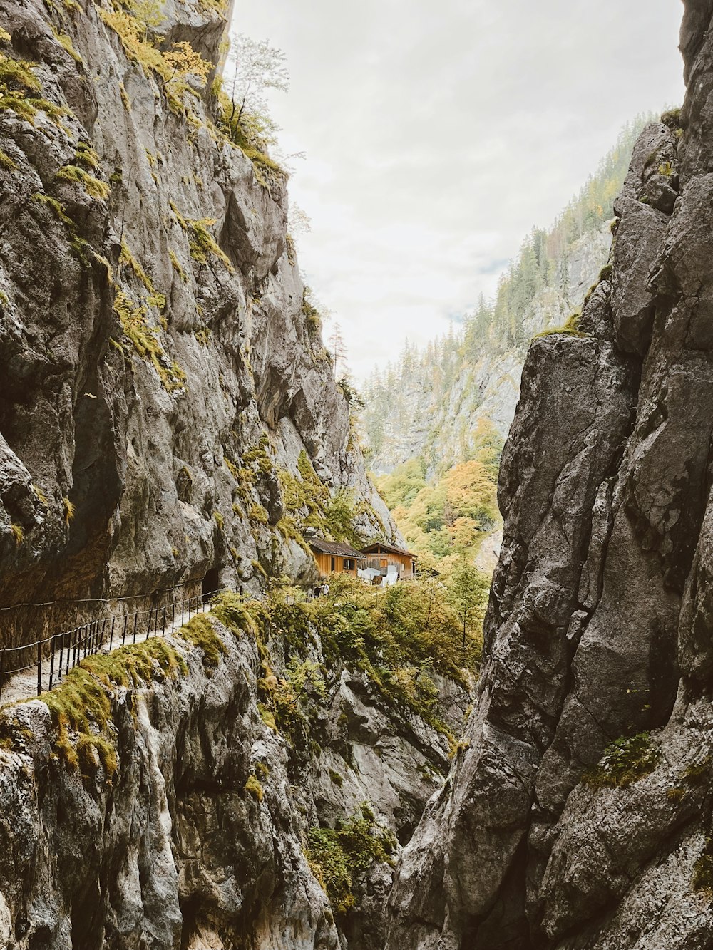 a narrow path in the mountains with a bridge