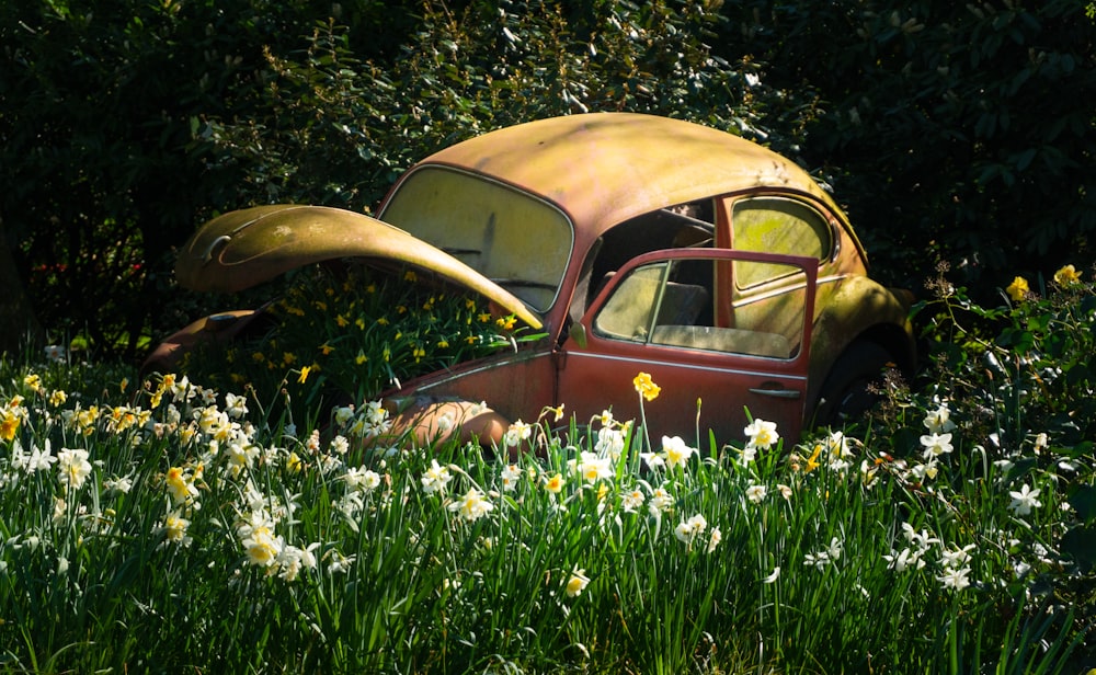 a rusted out car sitting in a field of flowers