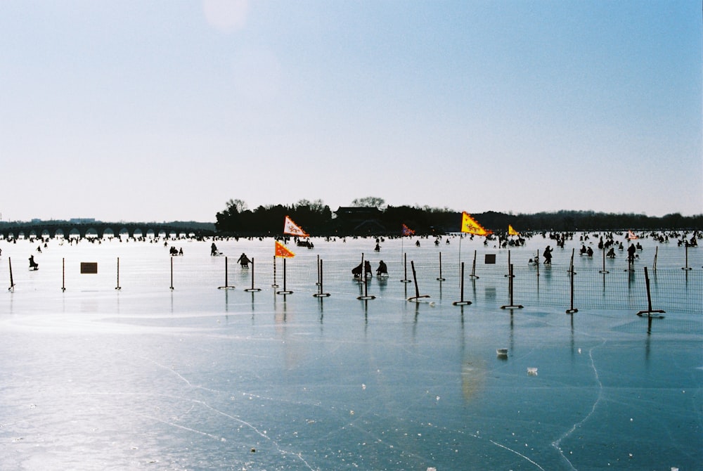 a bunch of poles that are in the ice