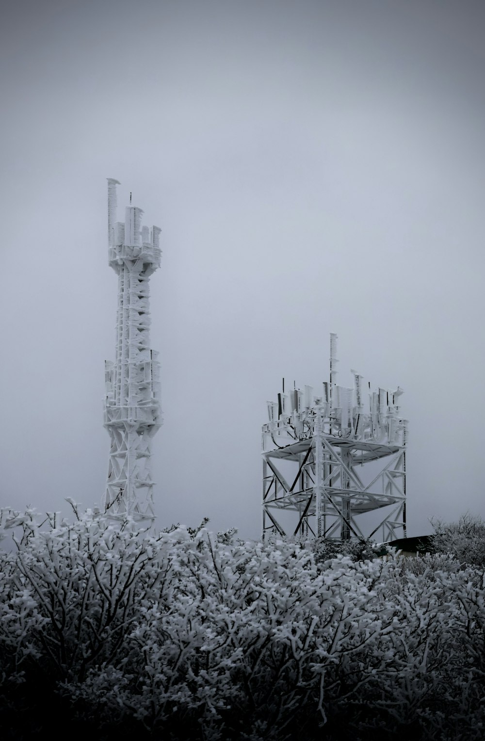 a tall tower sitting next to a forest filled with trees