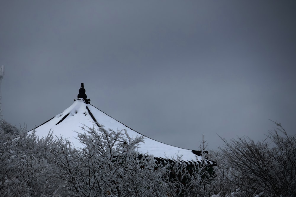 a mountain covered in snow with trees in the foreground