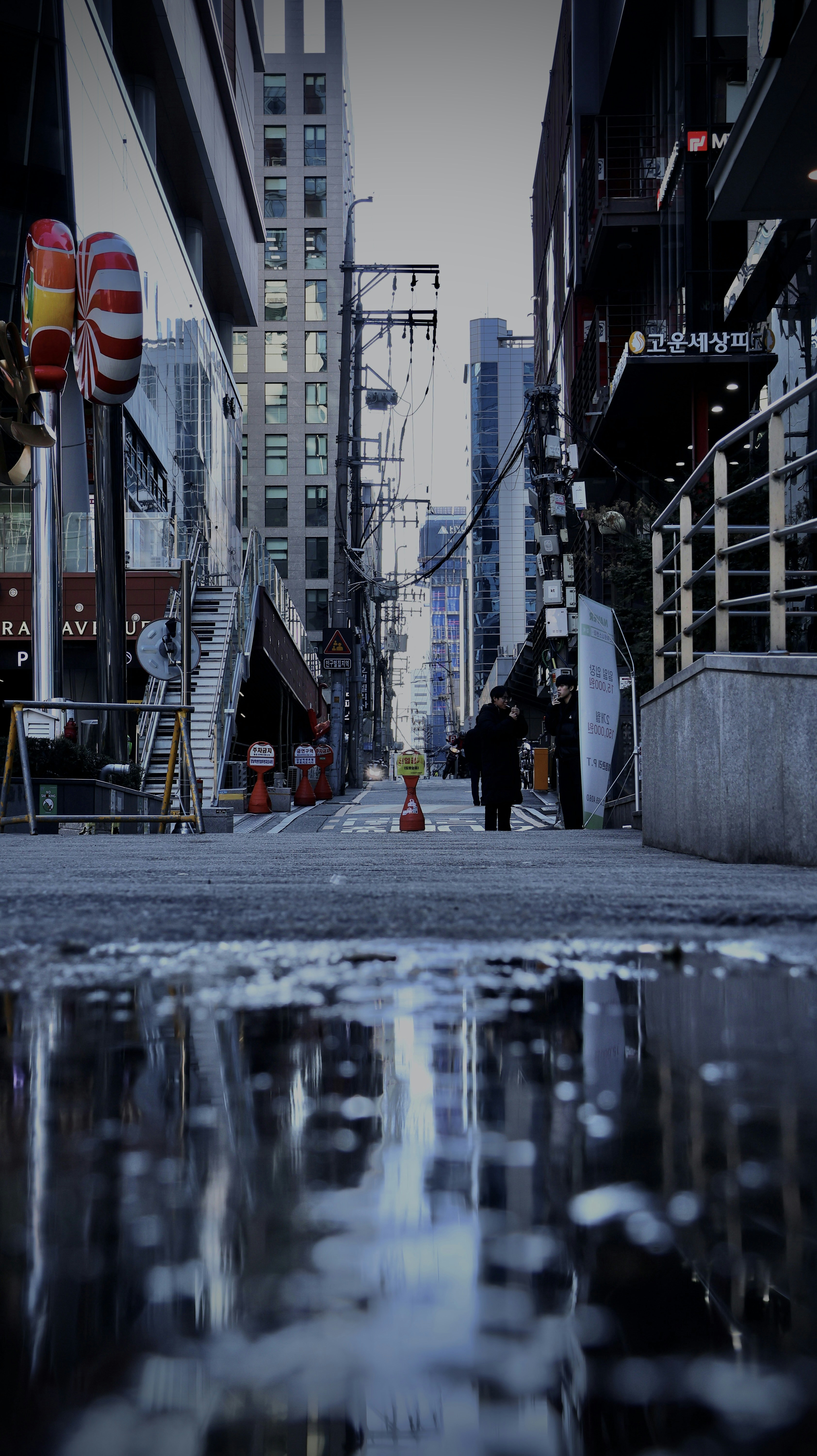 Photo by horseratbros