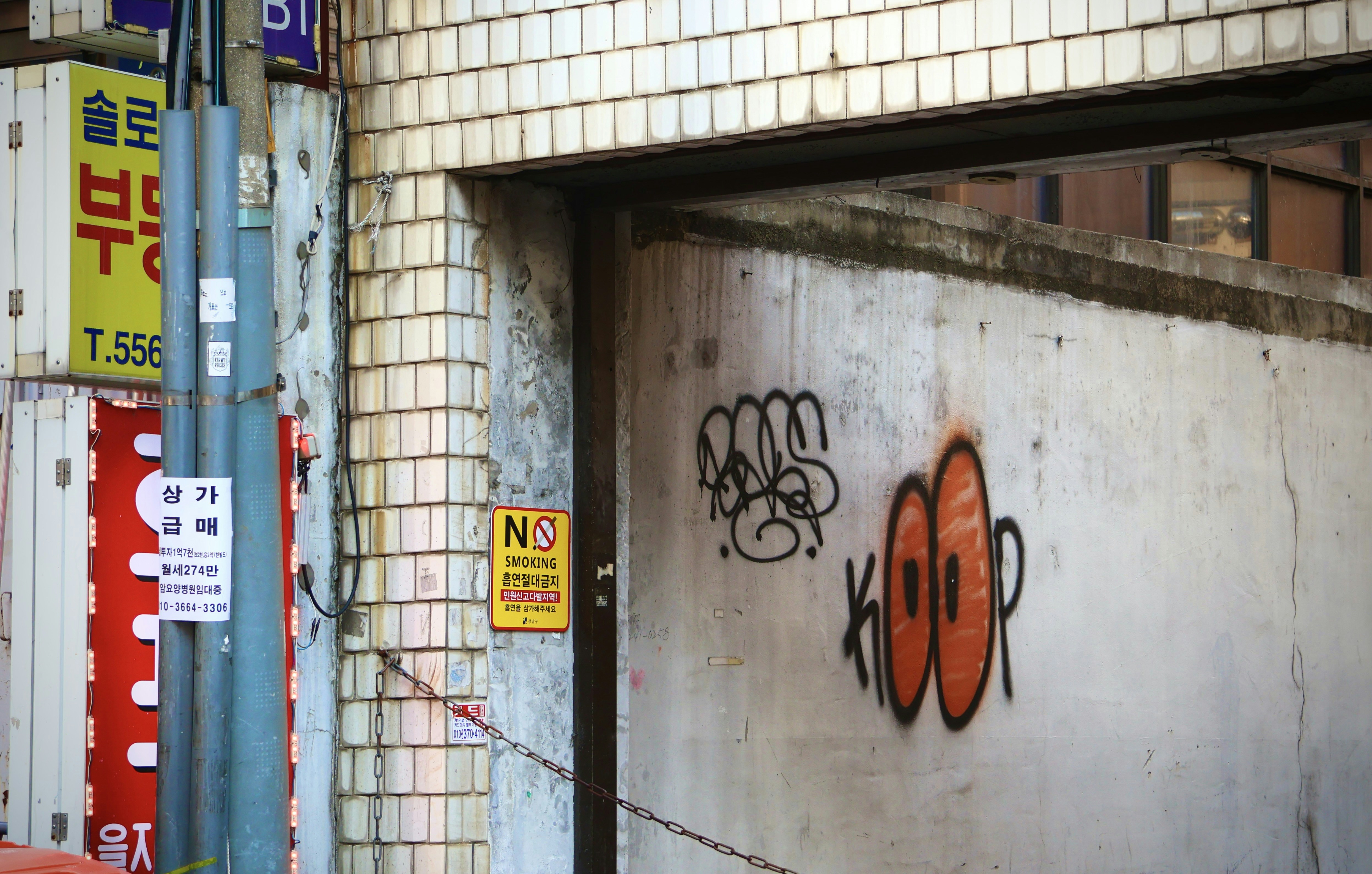 Photo by horseratbros