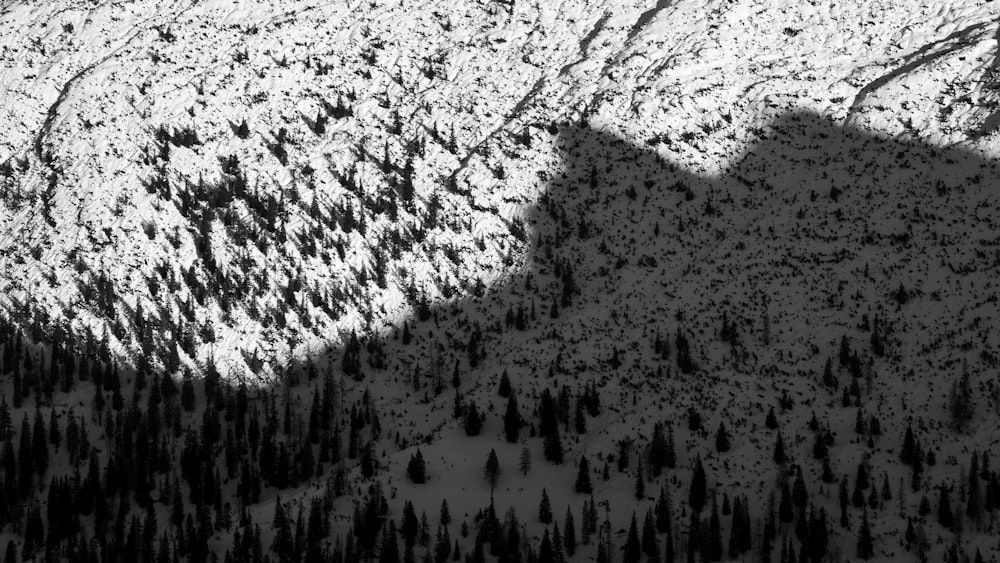 a shadow of a person standing in the snow