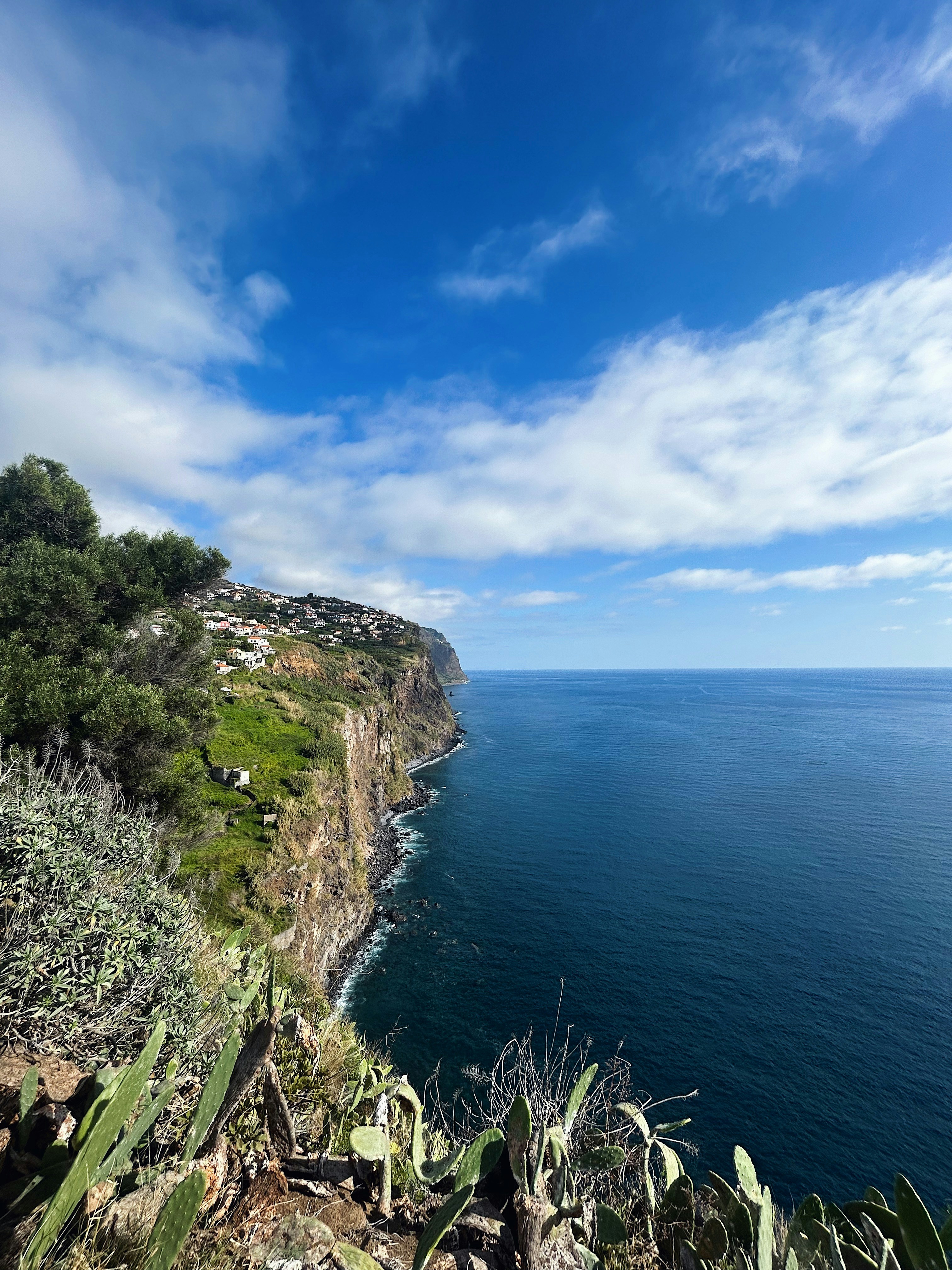 Photo by dianafrancisca020