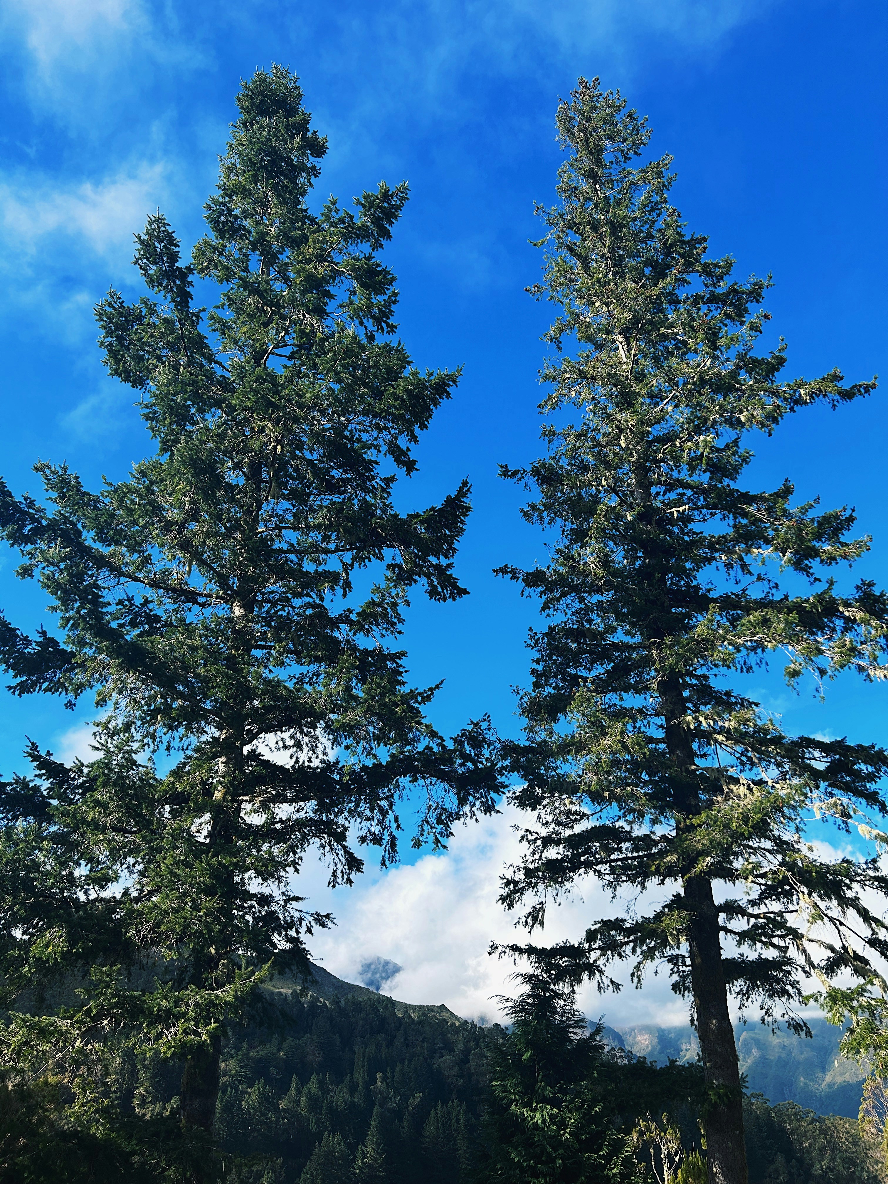 Photo by dianafrancisca020