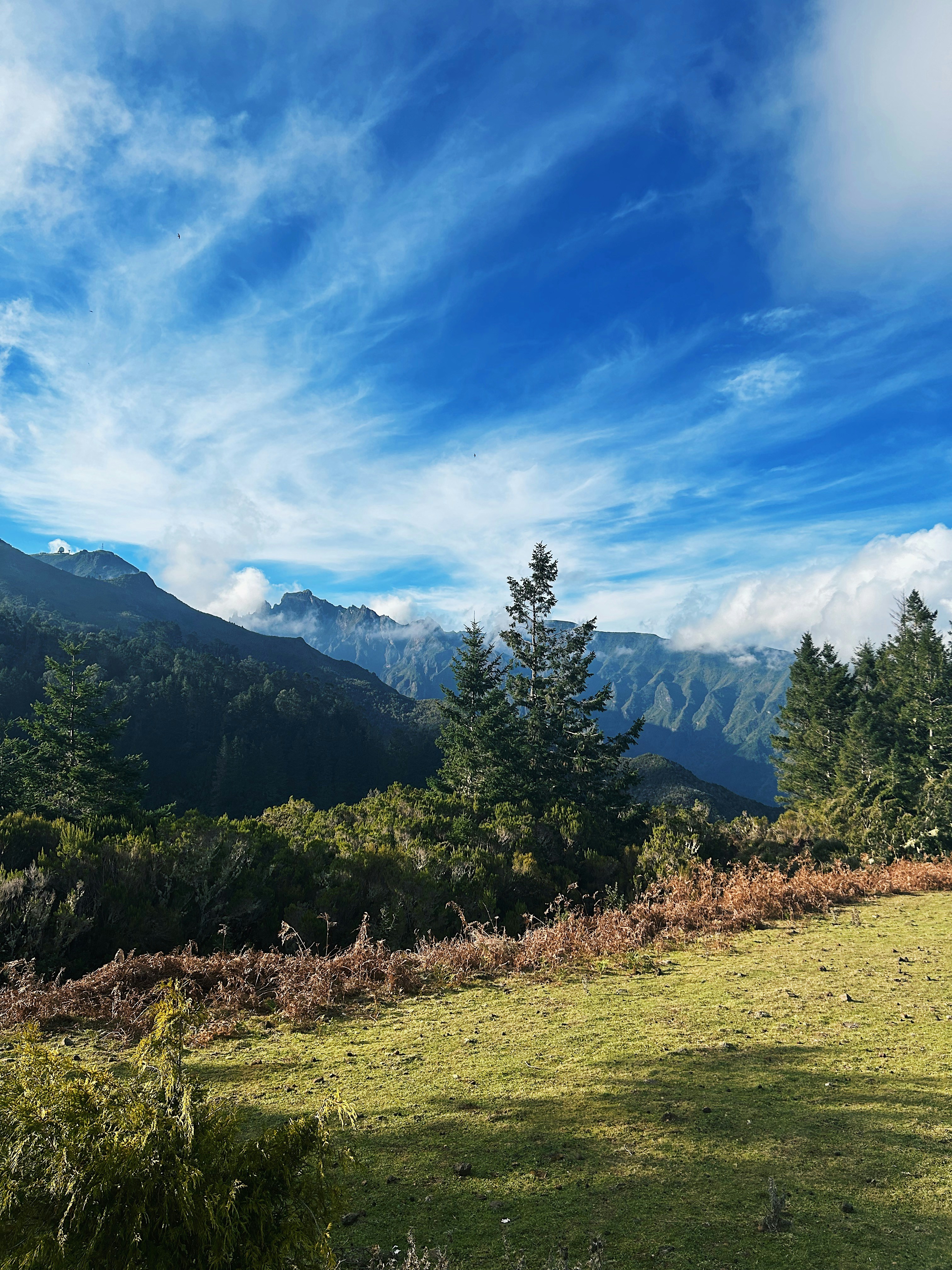 Photo by dianafrancisca020