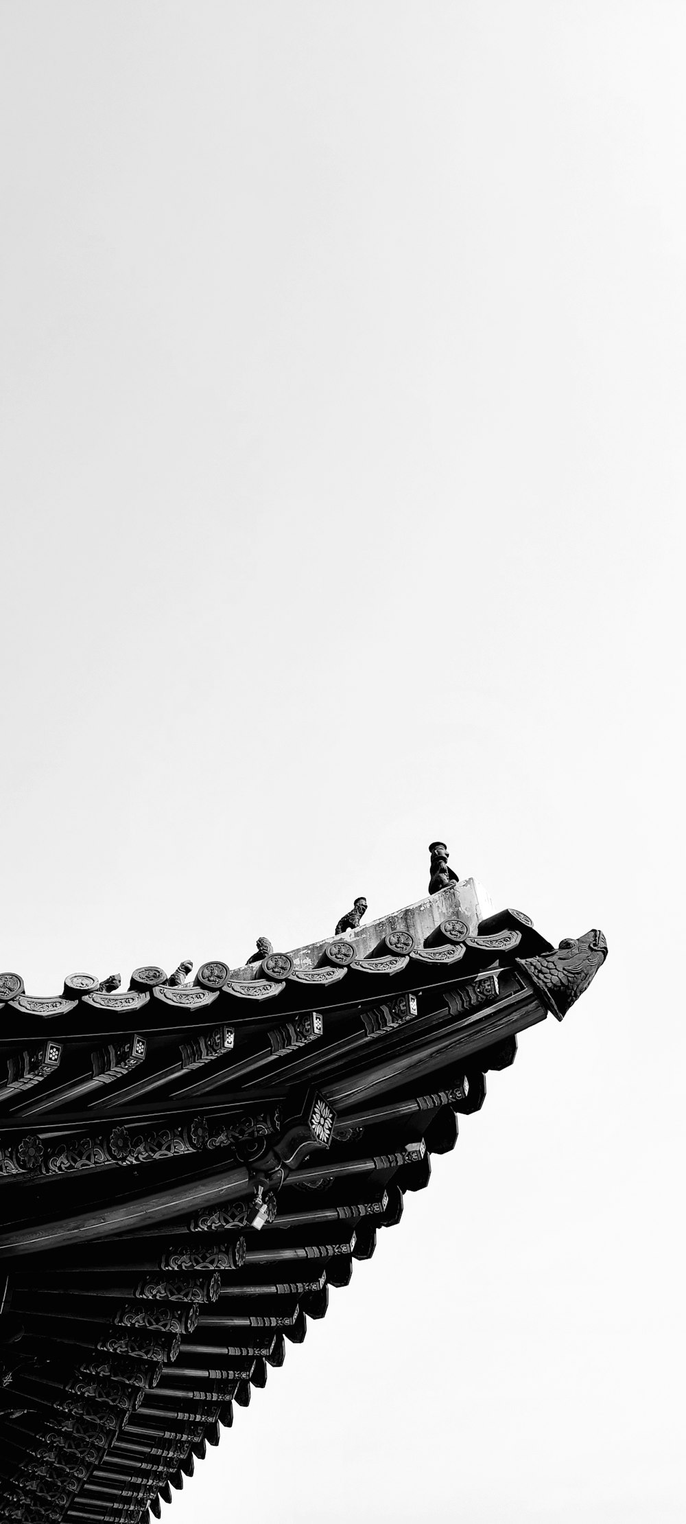 a black and white photo of a bird perched on a roof