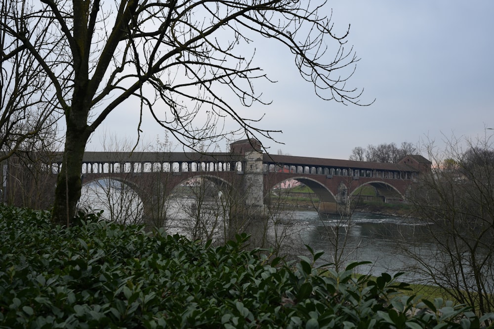 eine Brücke über ein Gewässer mit Bäumen im Vordergrund
