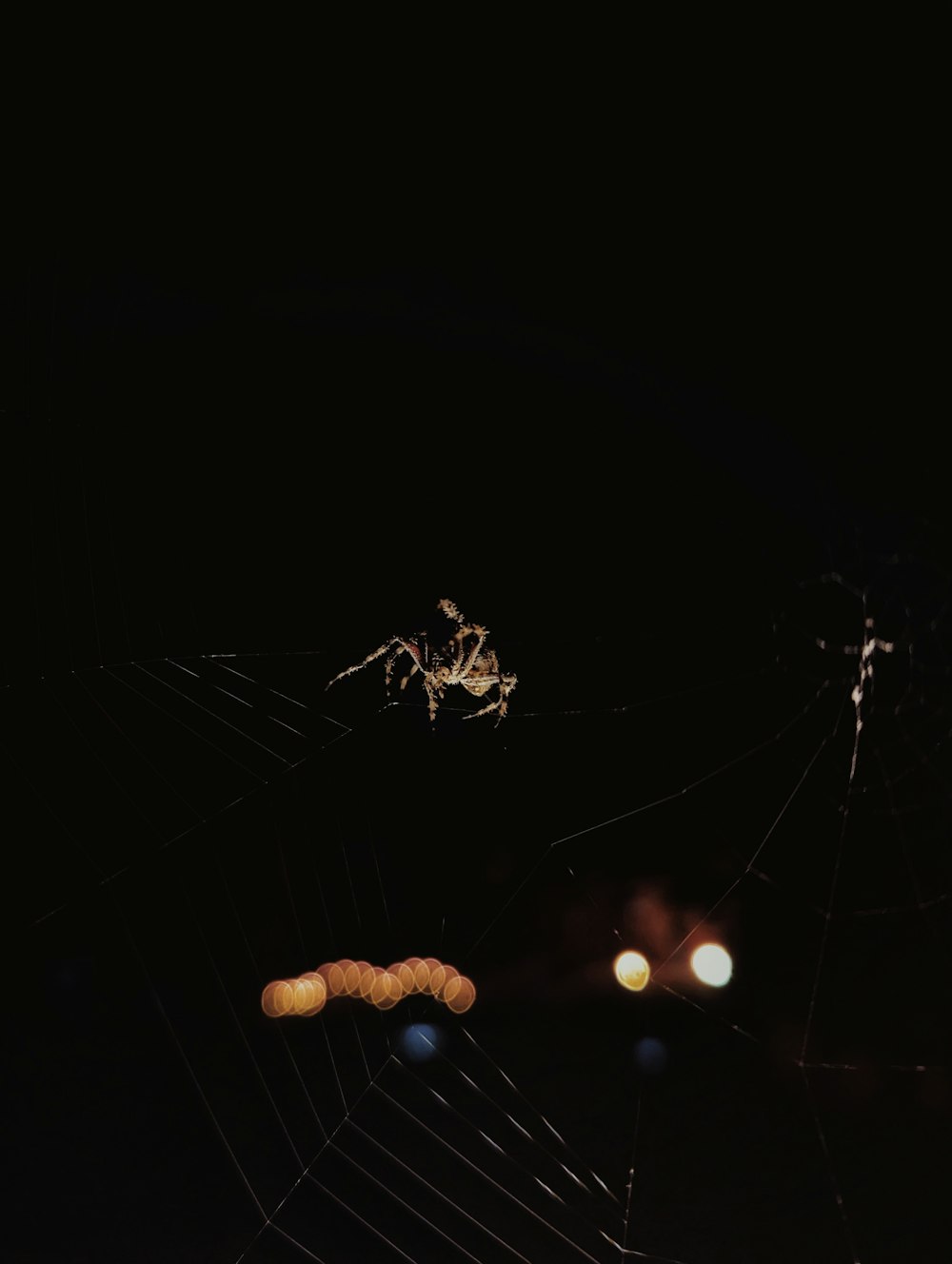 a spider web in the middle of the night