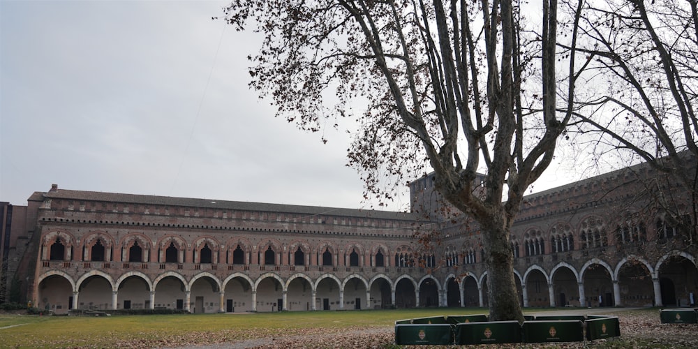 ein großes Gebäude mit einem Baum davor