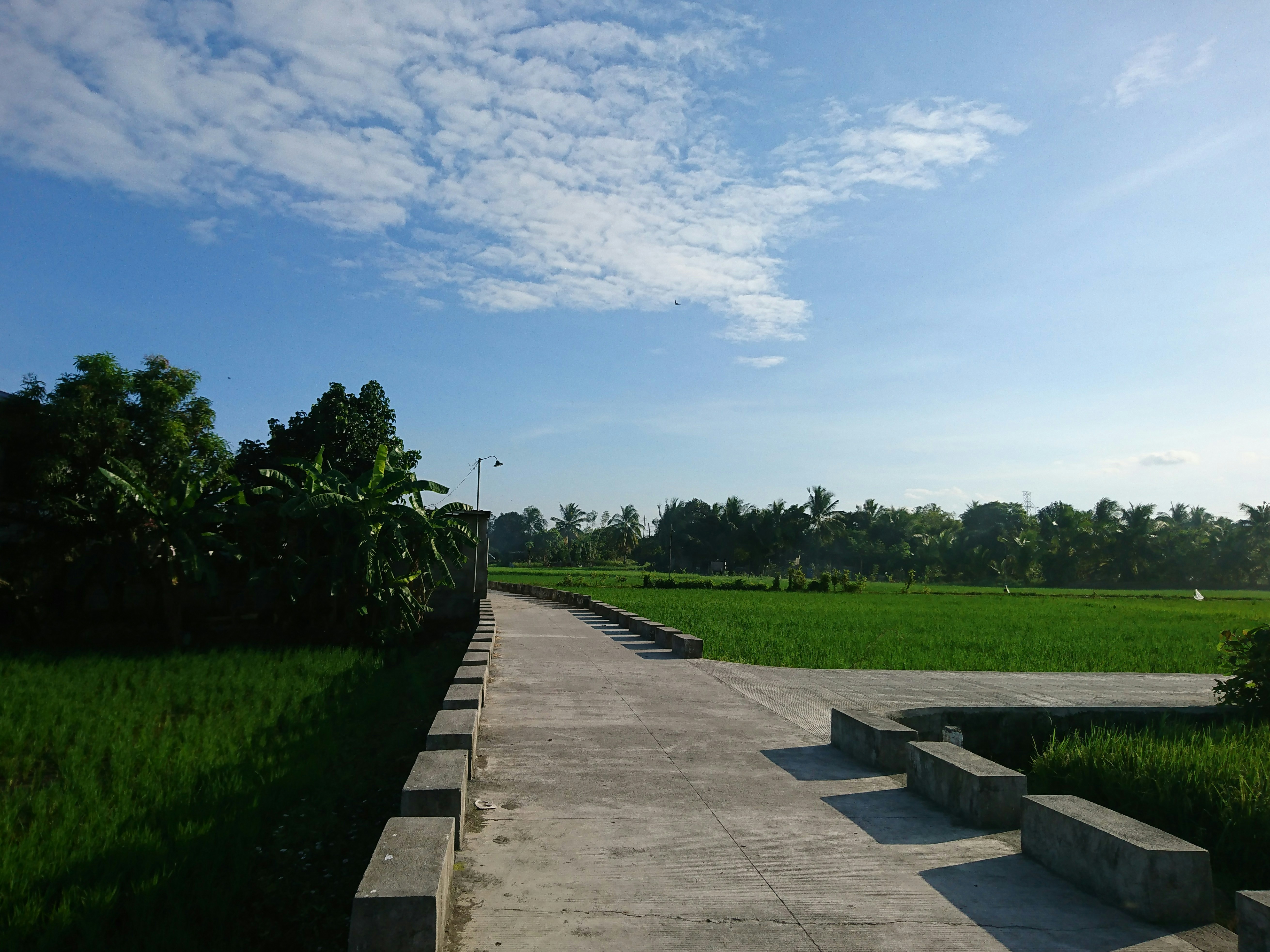 a concrete walkway with a grassy field in the background