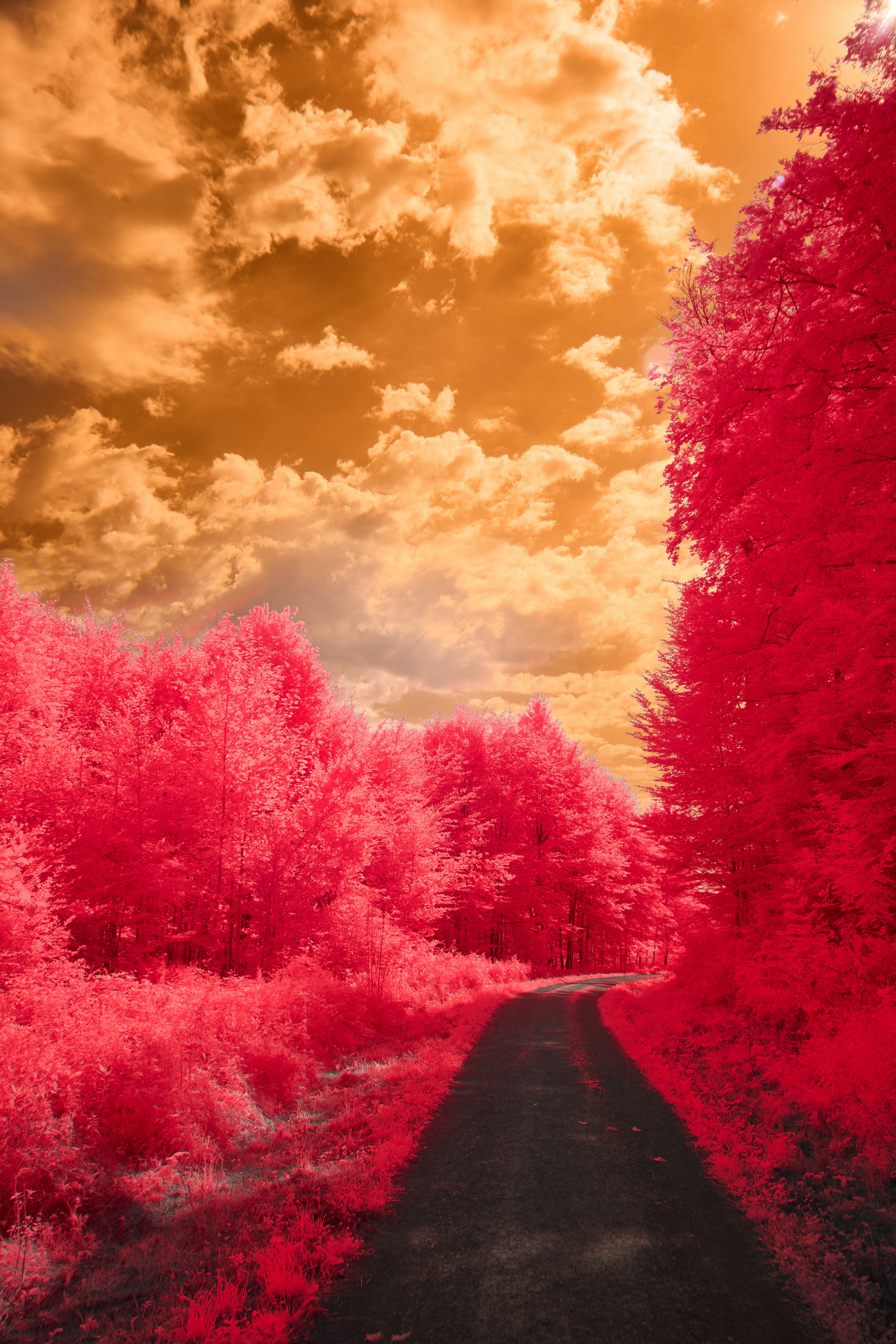 Photo by wolfgang_hasselmann